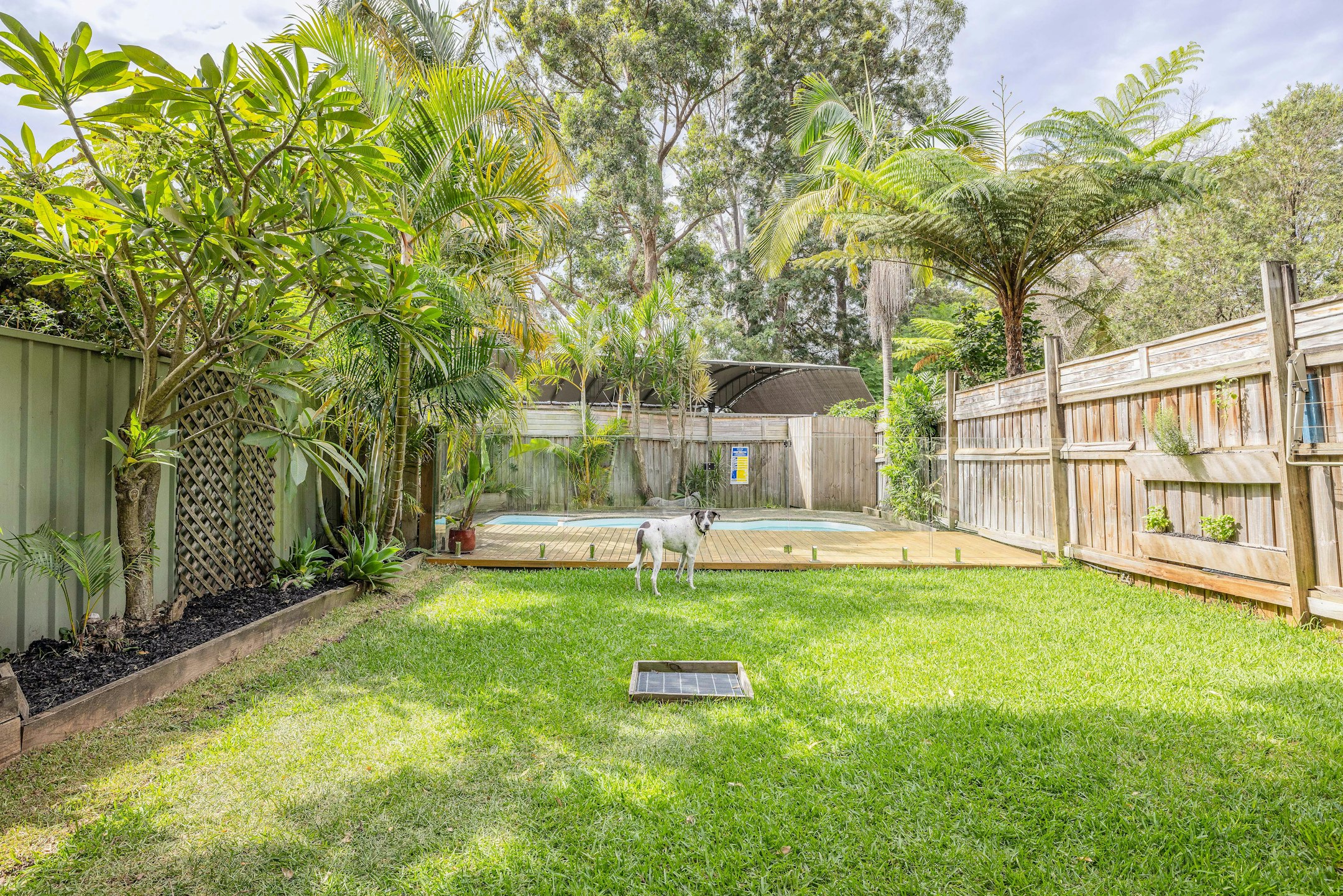 backyard
