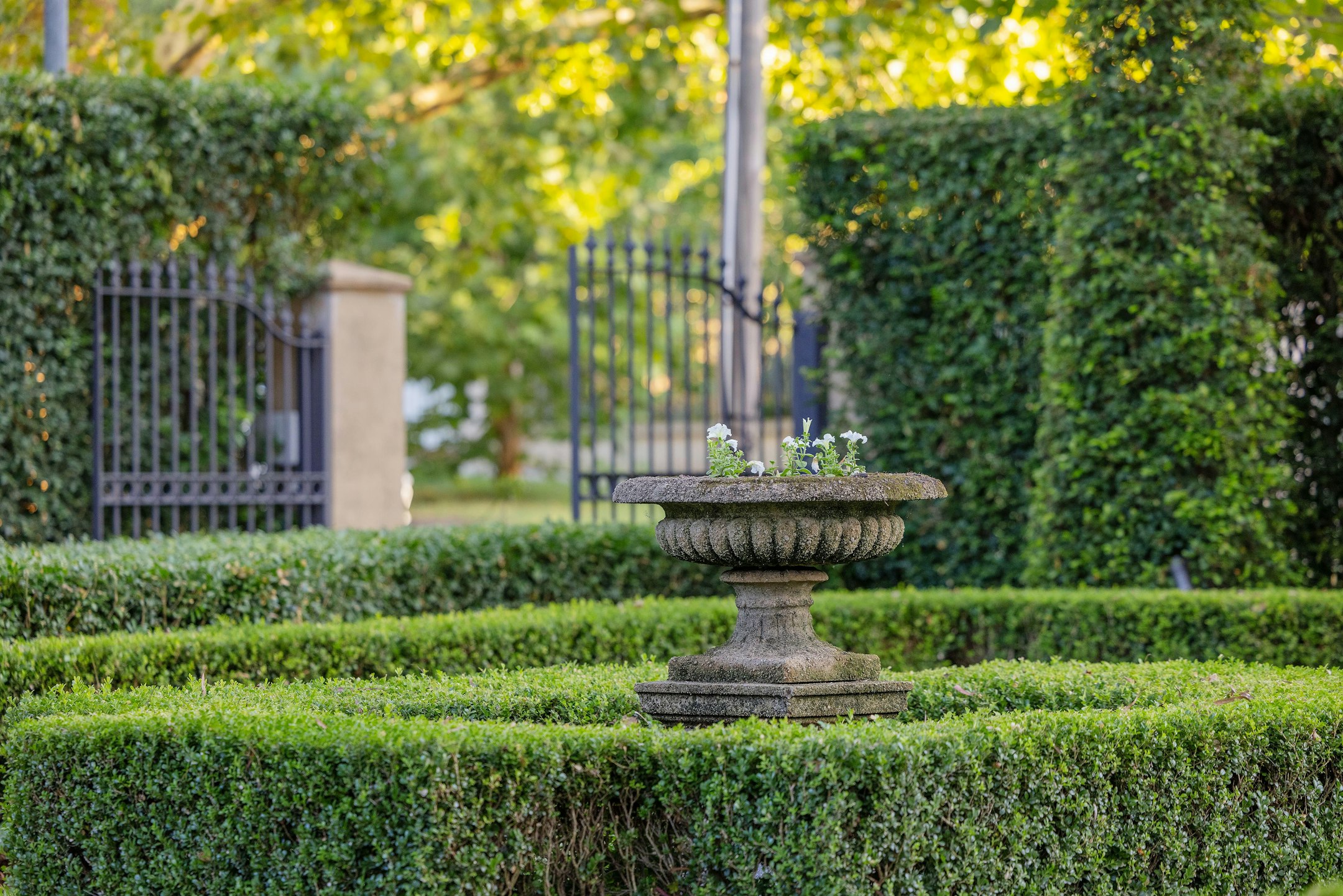 garden