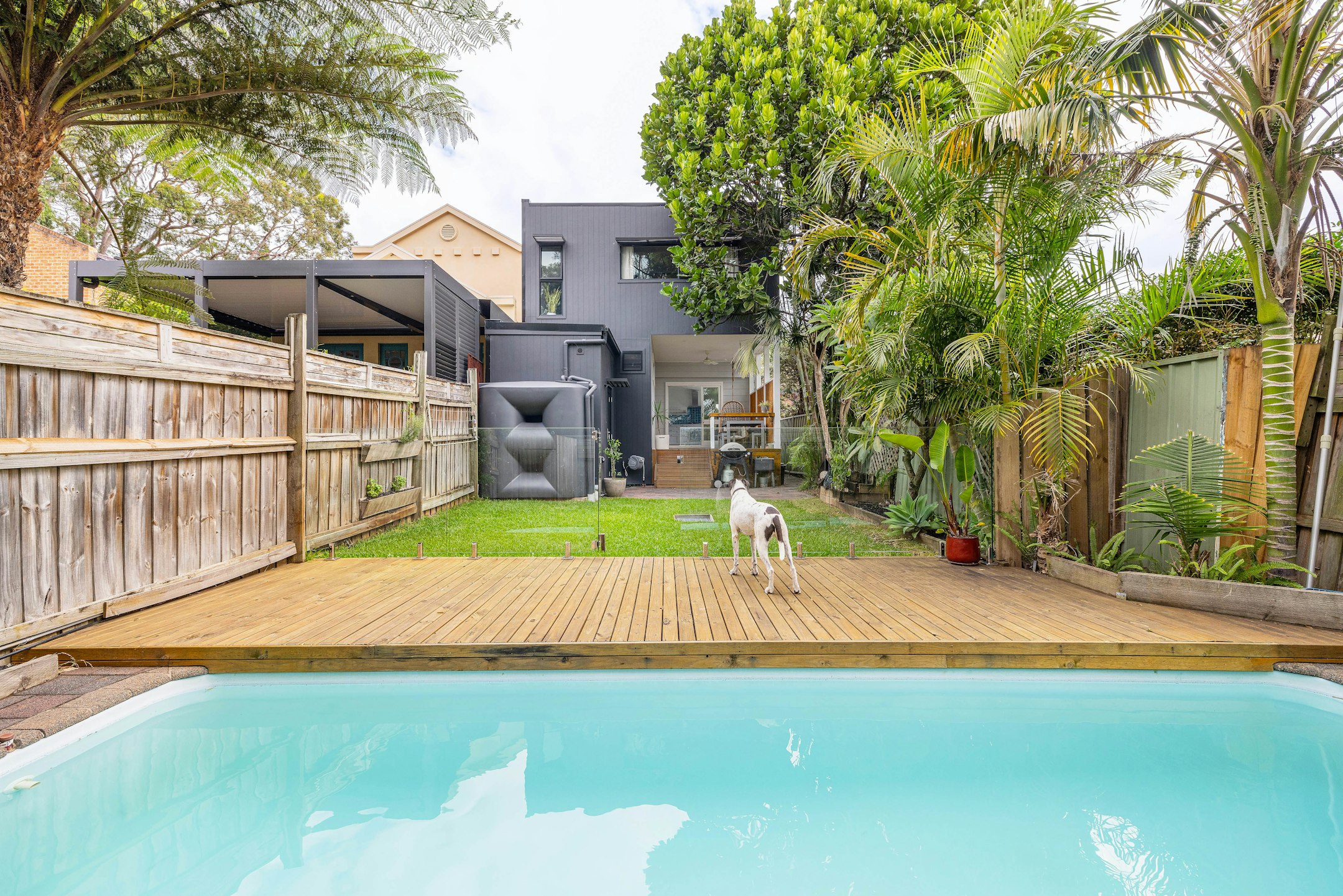 backyard