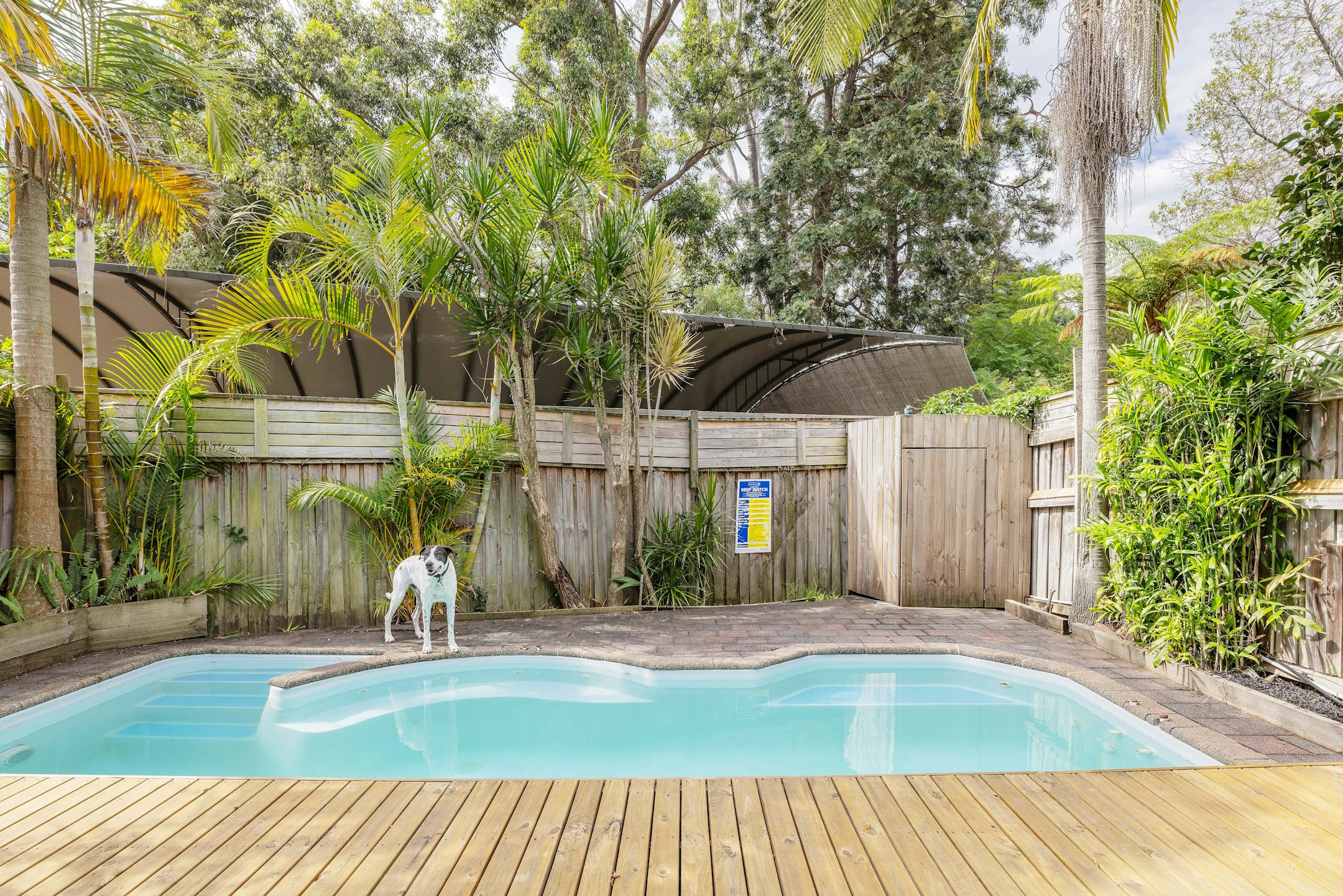 backyard