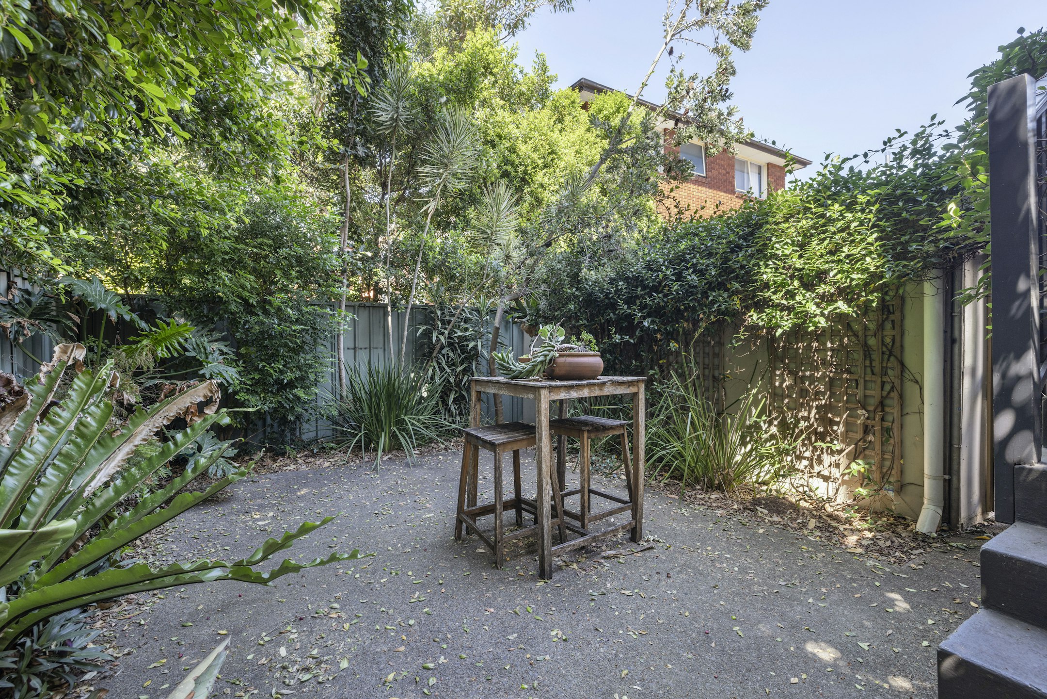 backyard