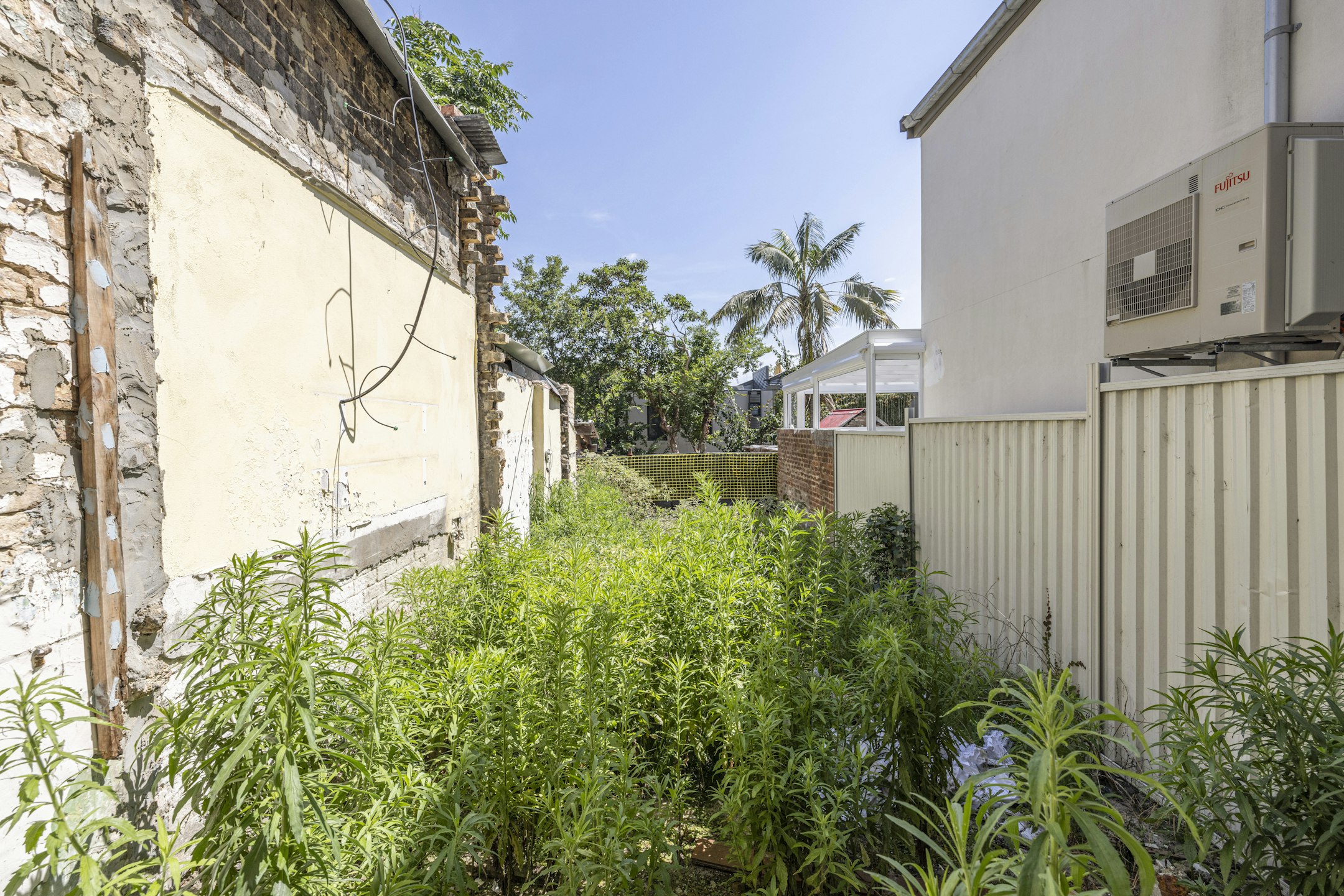 garden