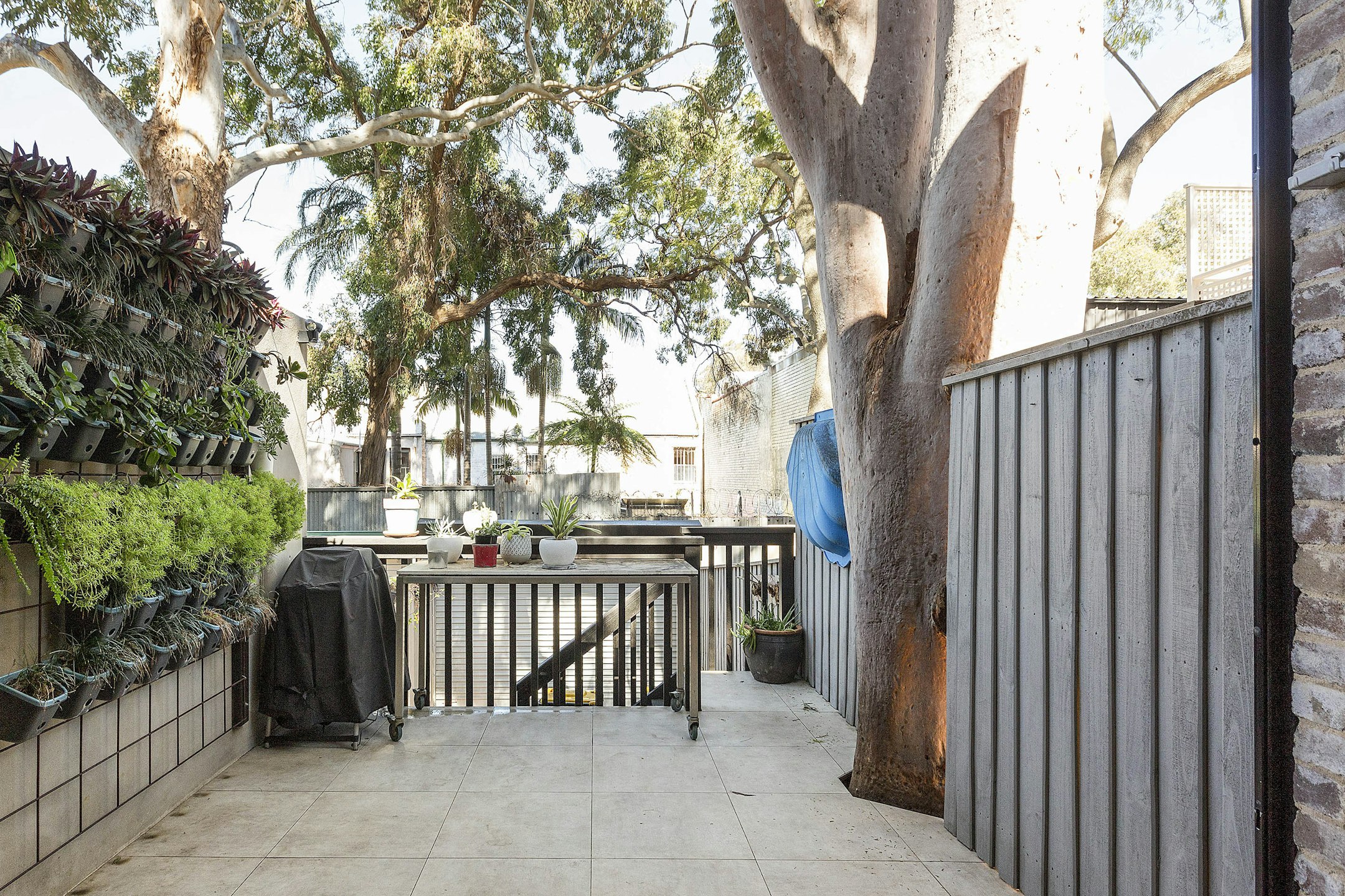 garden