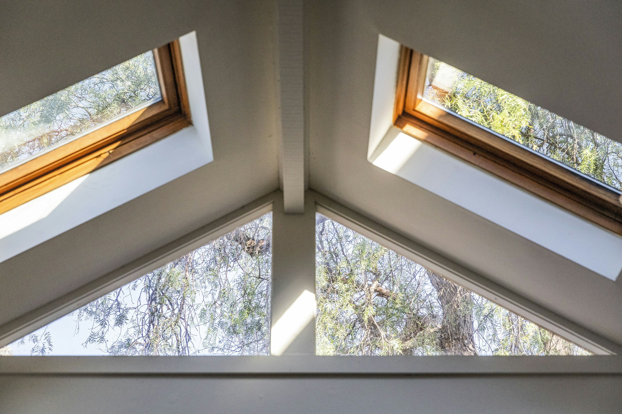 window
