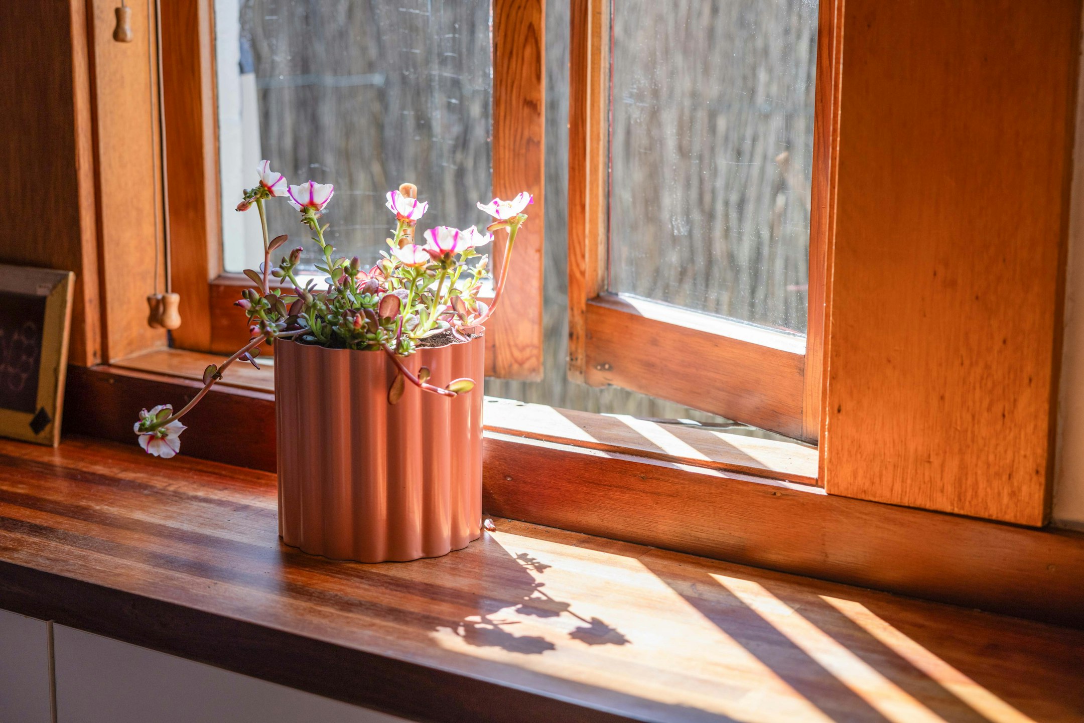 window