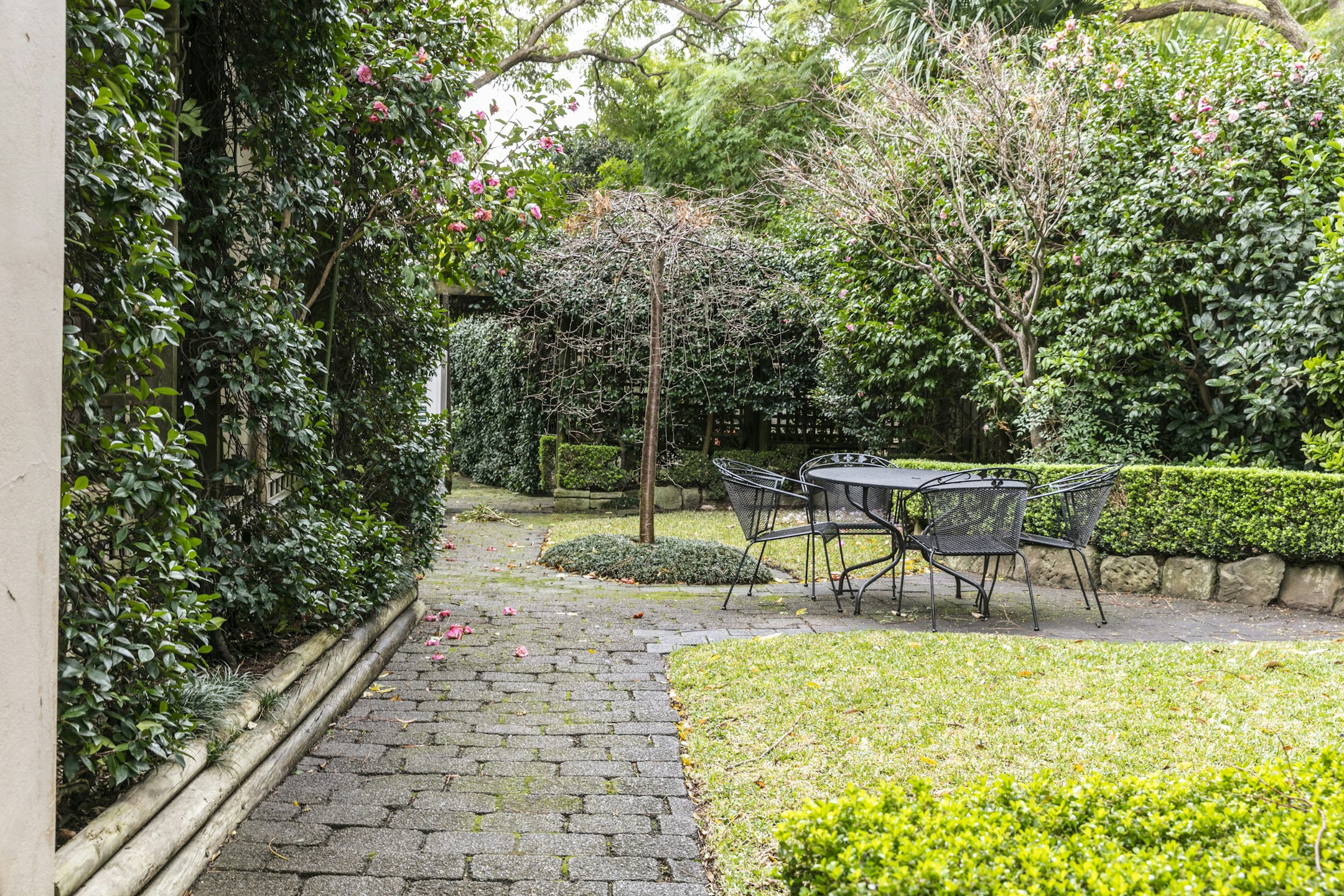 garden