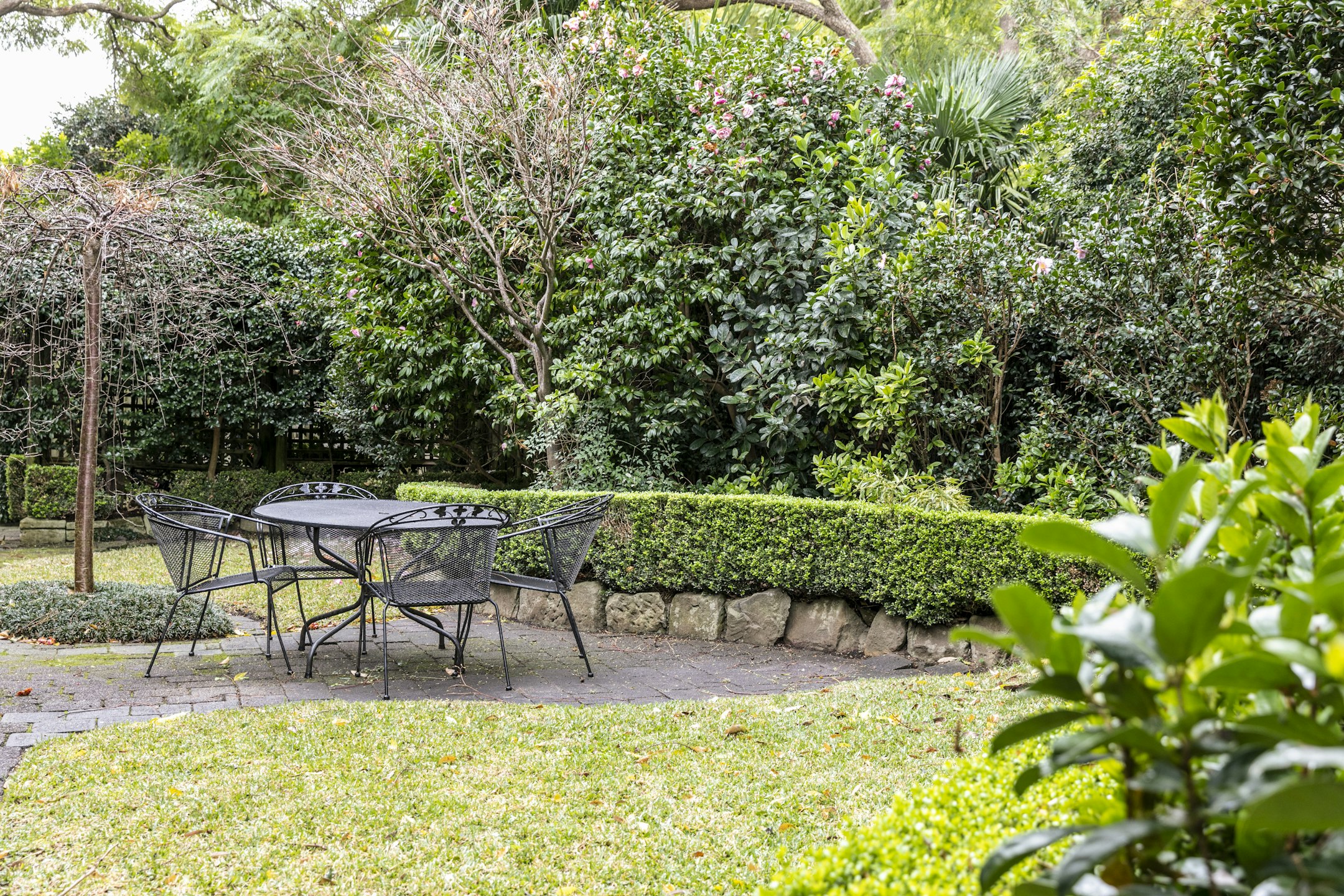garden