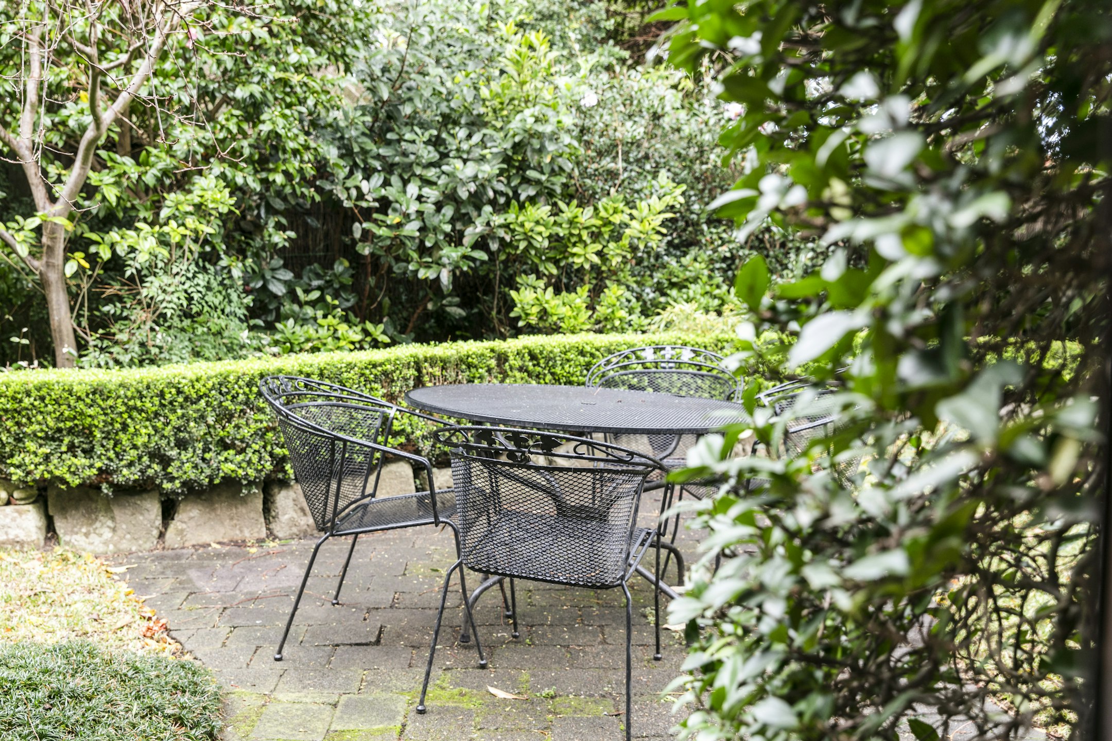 garden