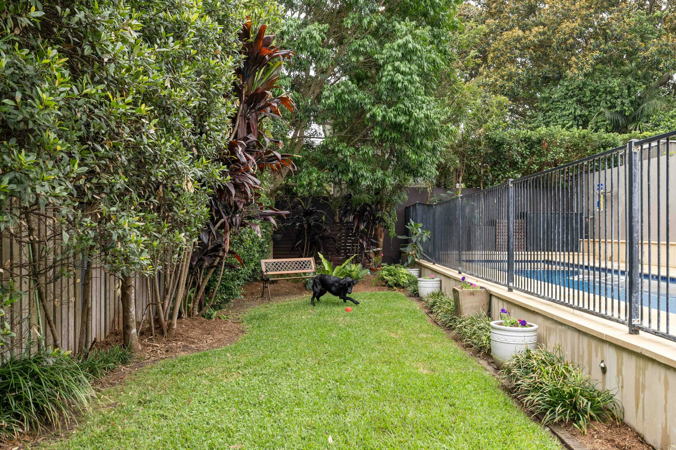 backyard