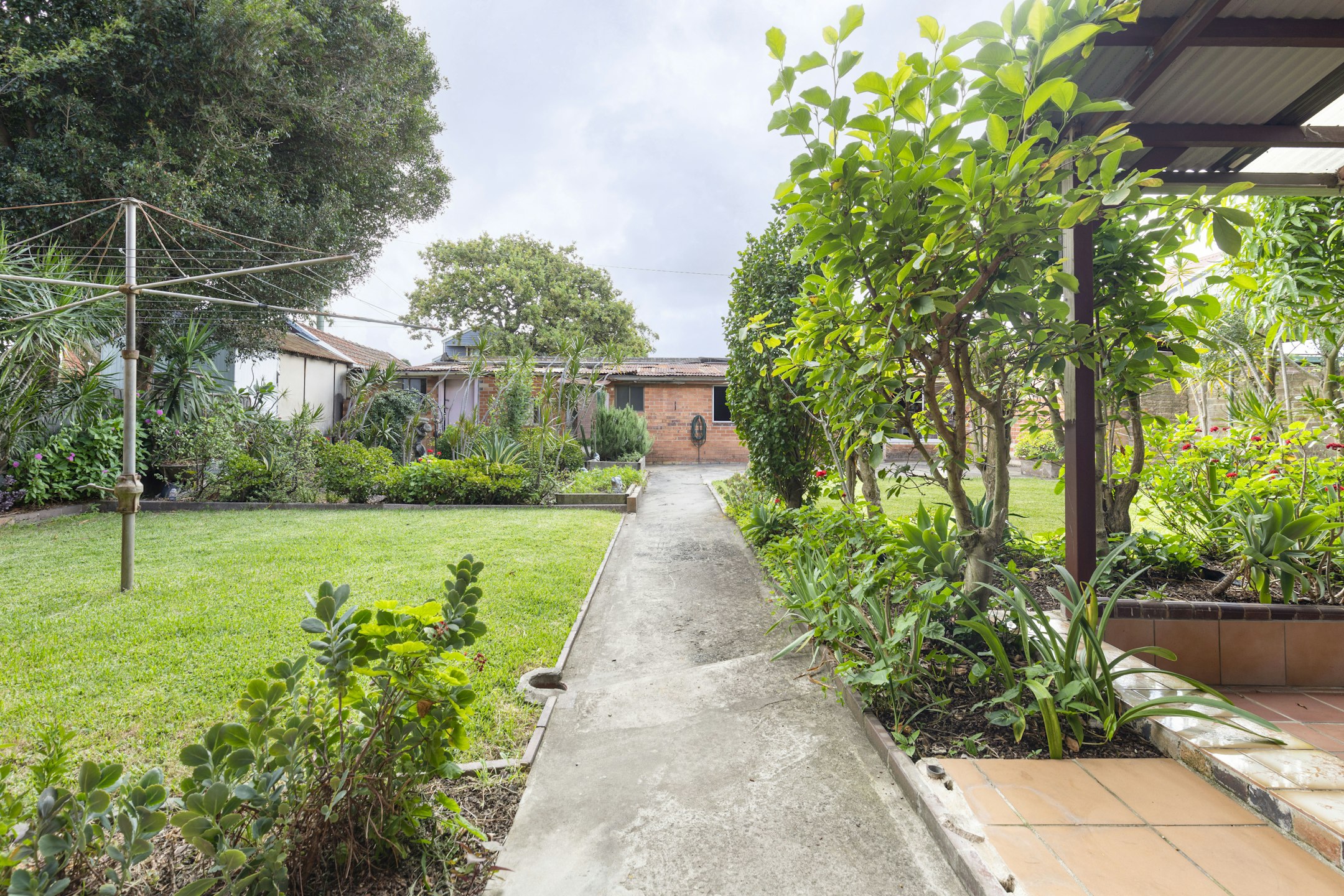 garden