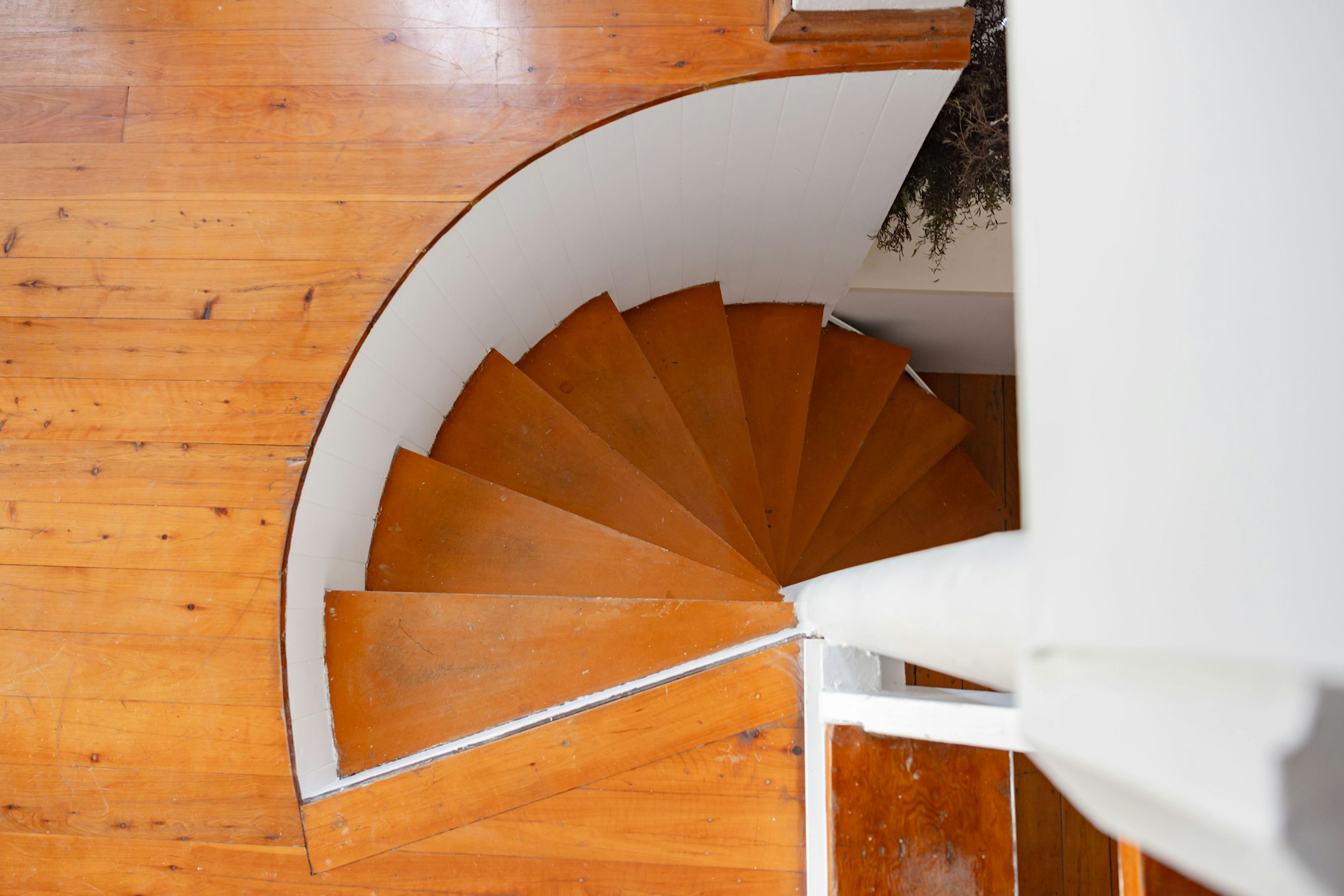 hardwood