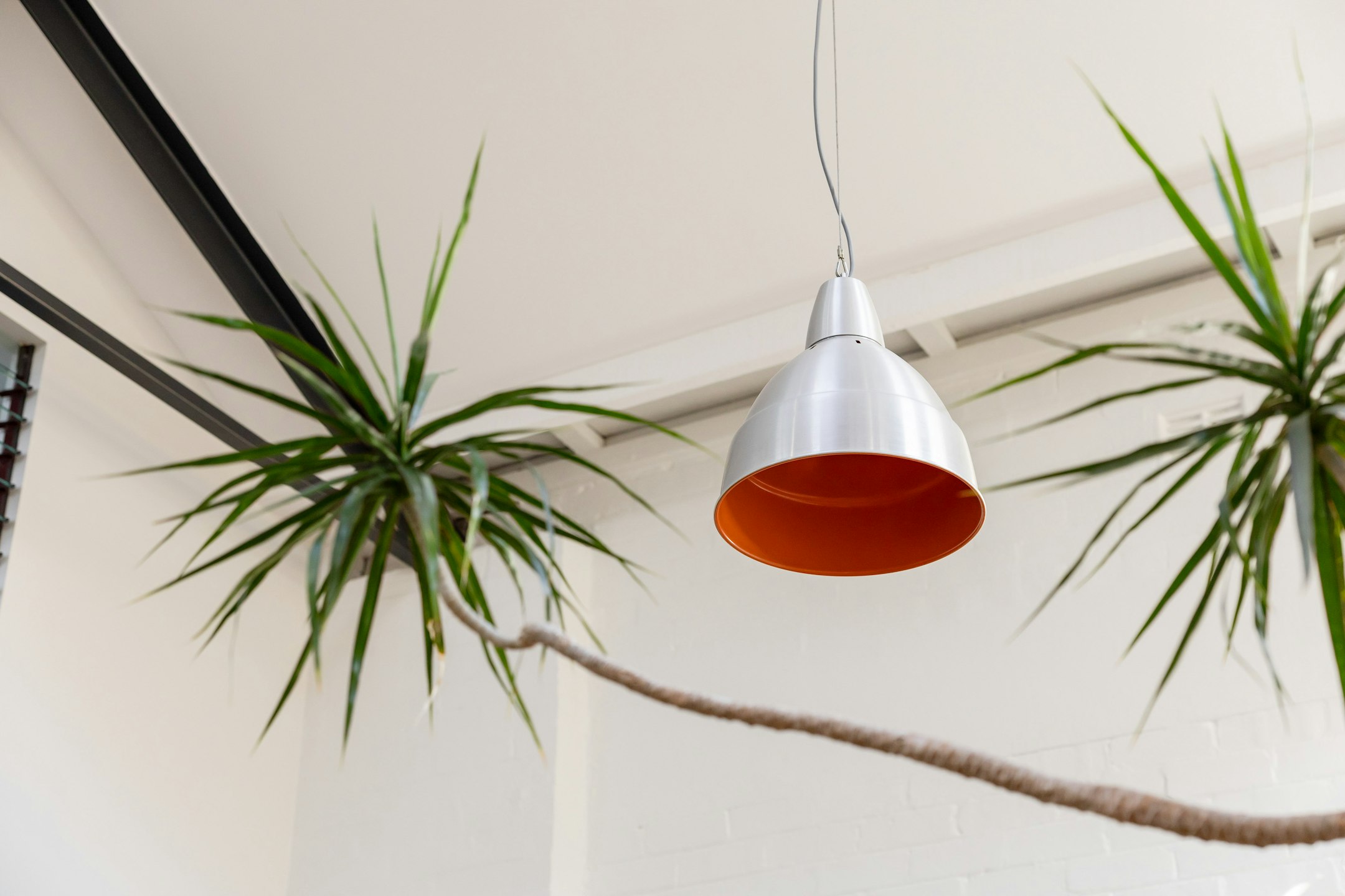 lamp