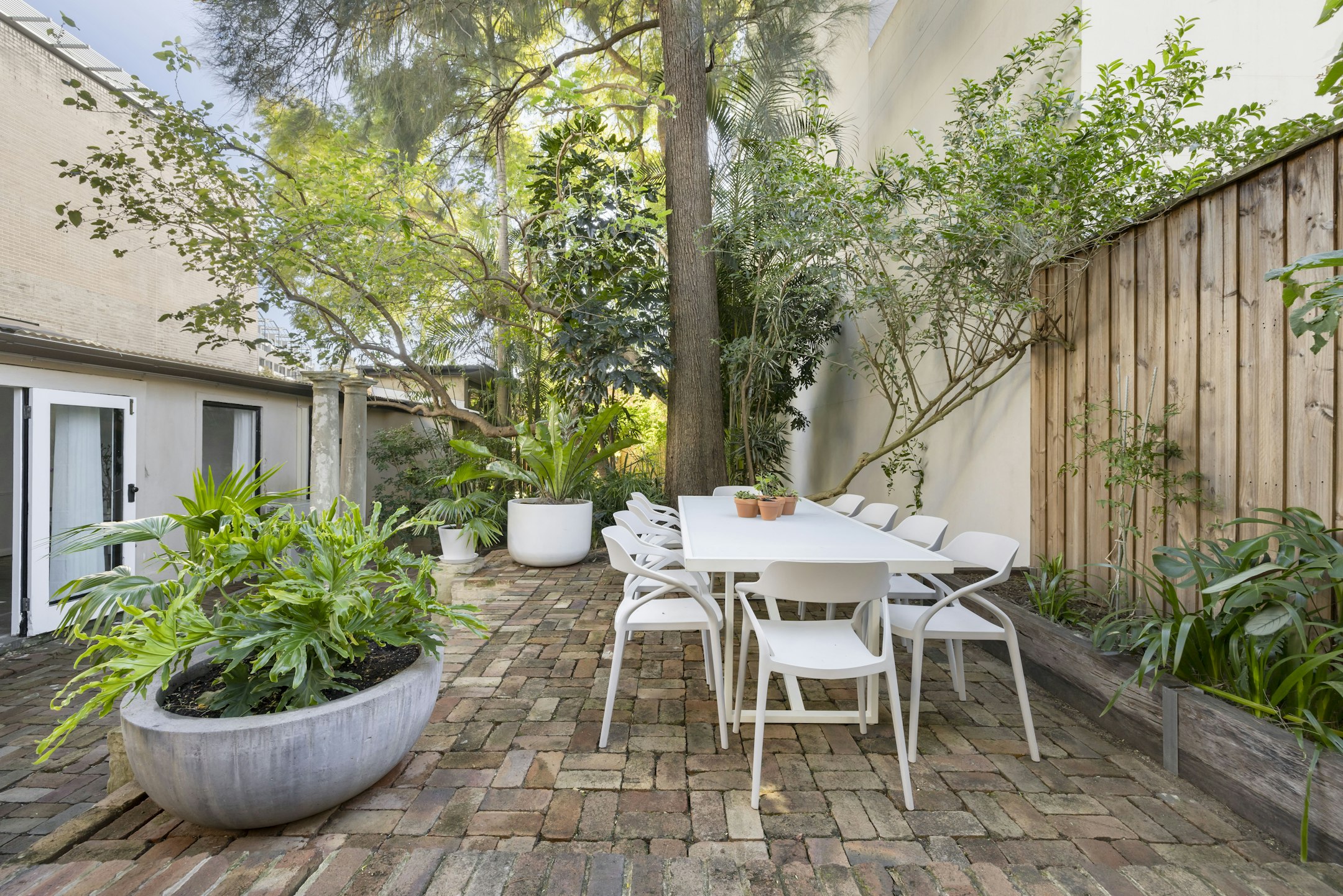 backyard