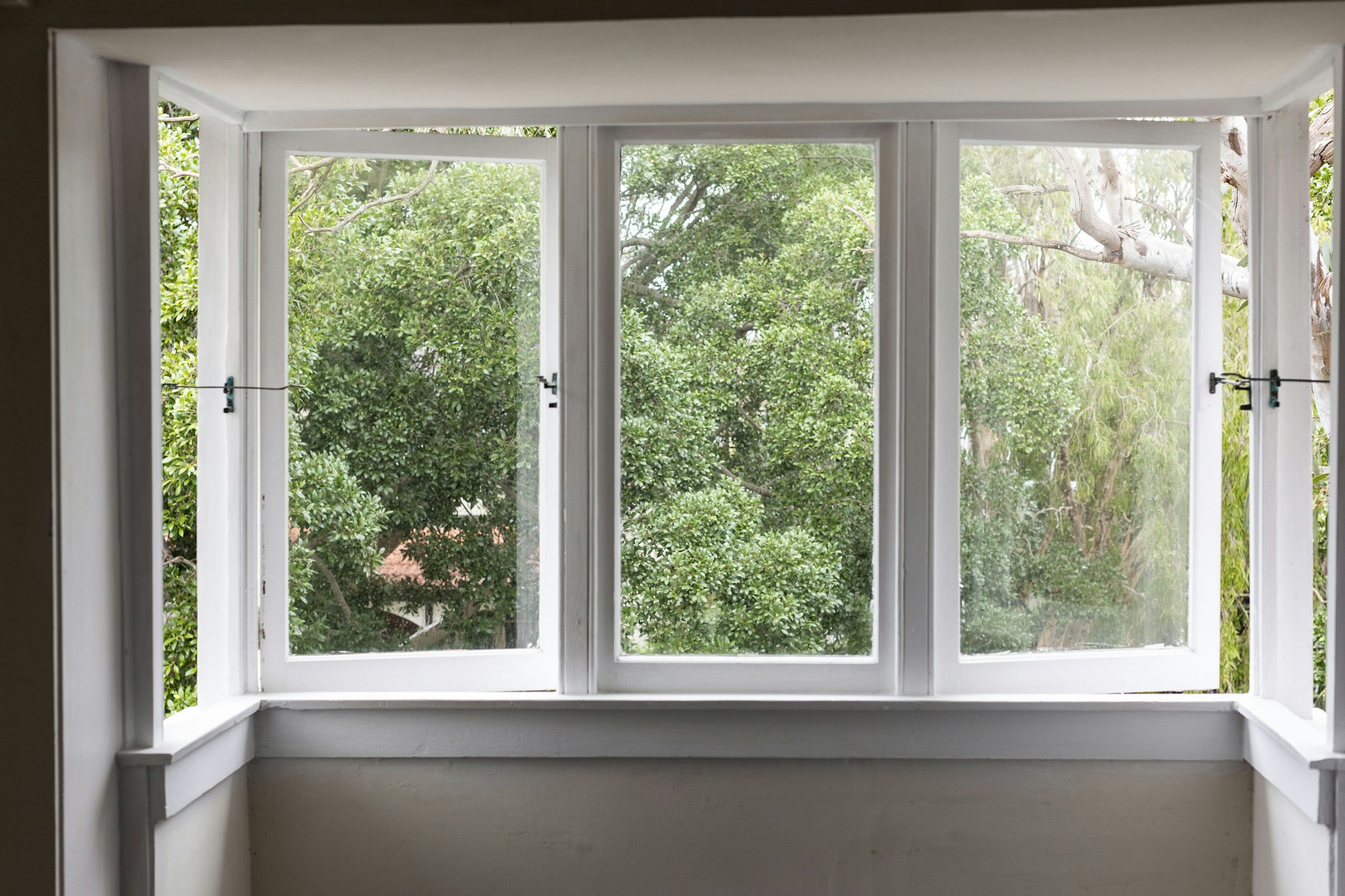 window
