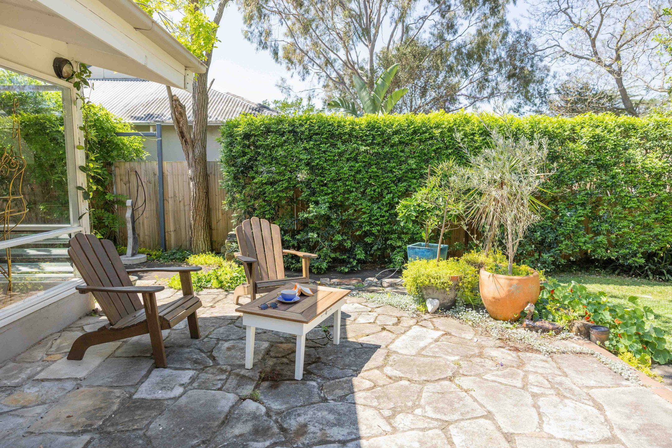 backyard