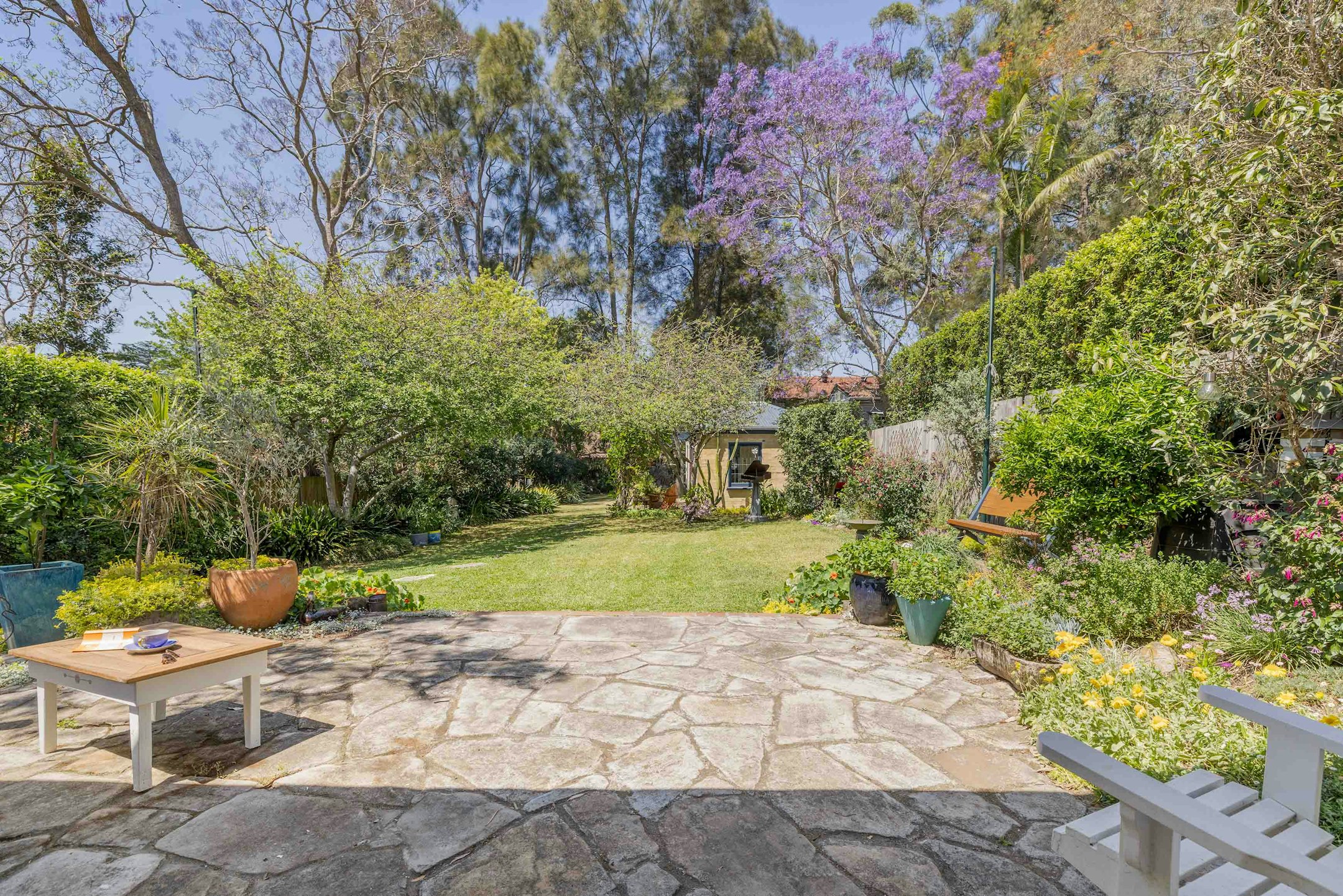 backyard