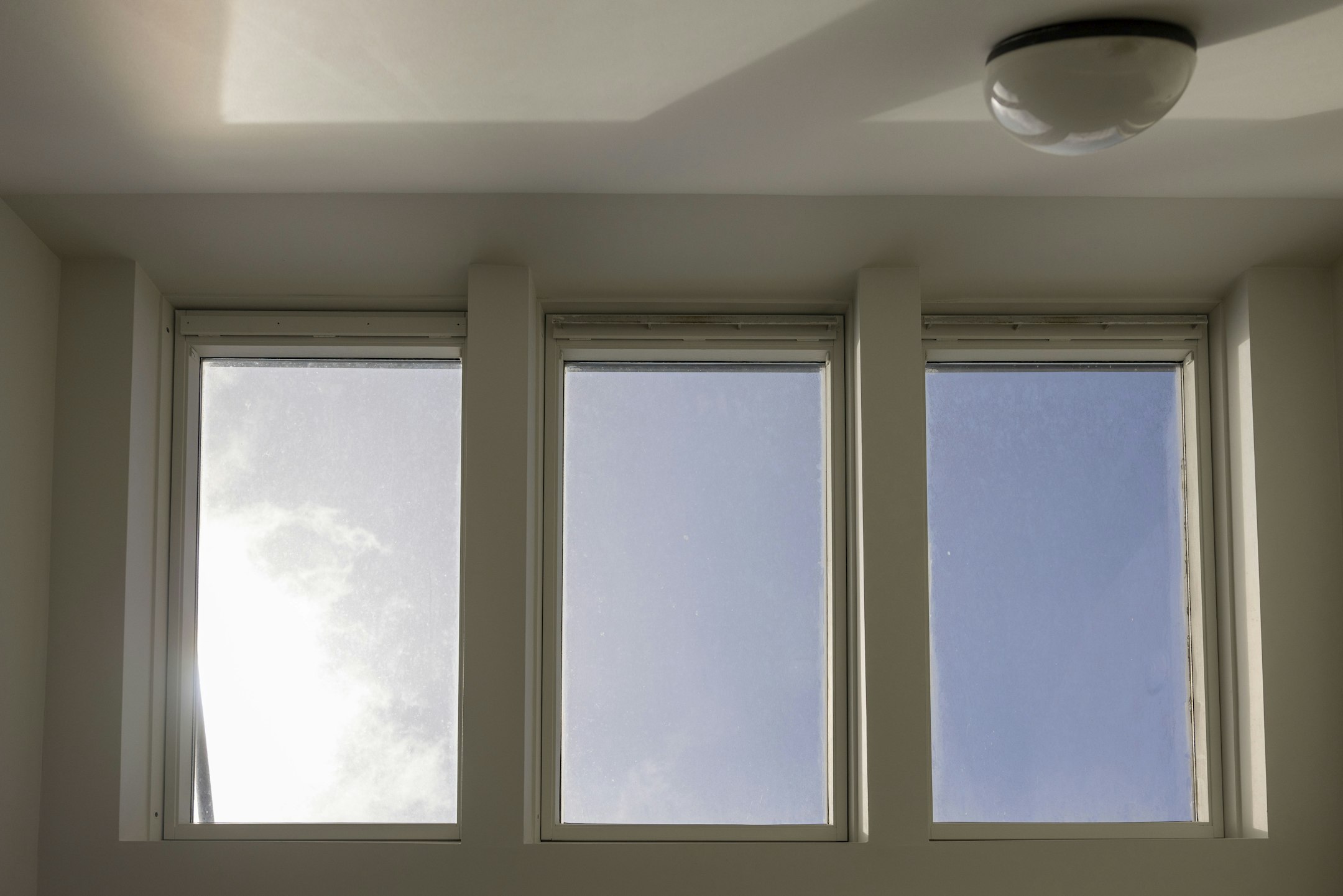 window