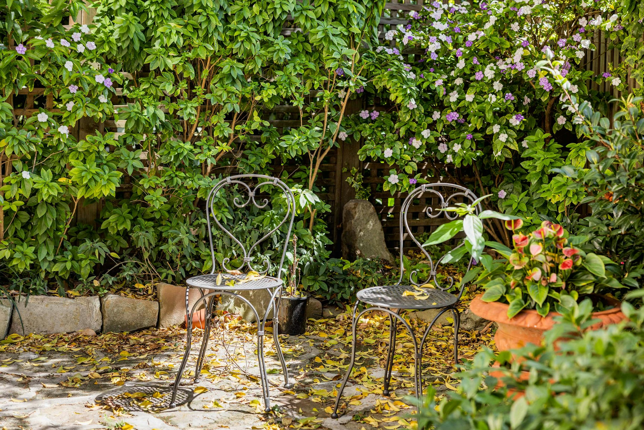 garden