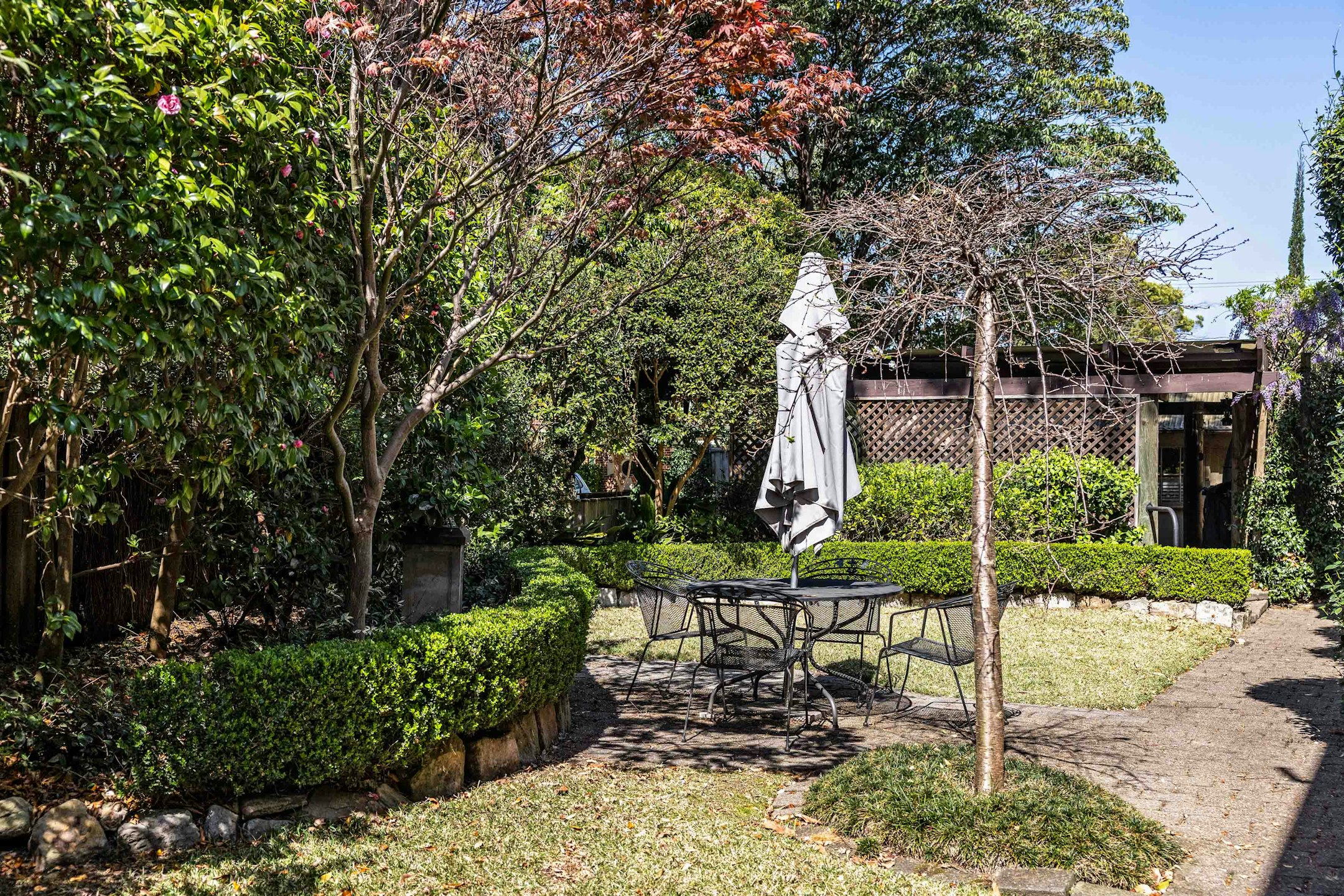 garden