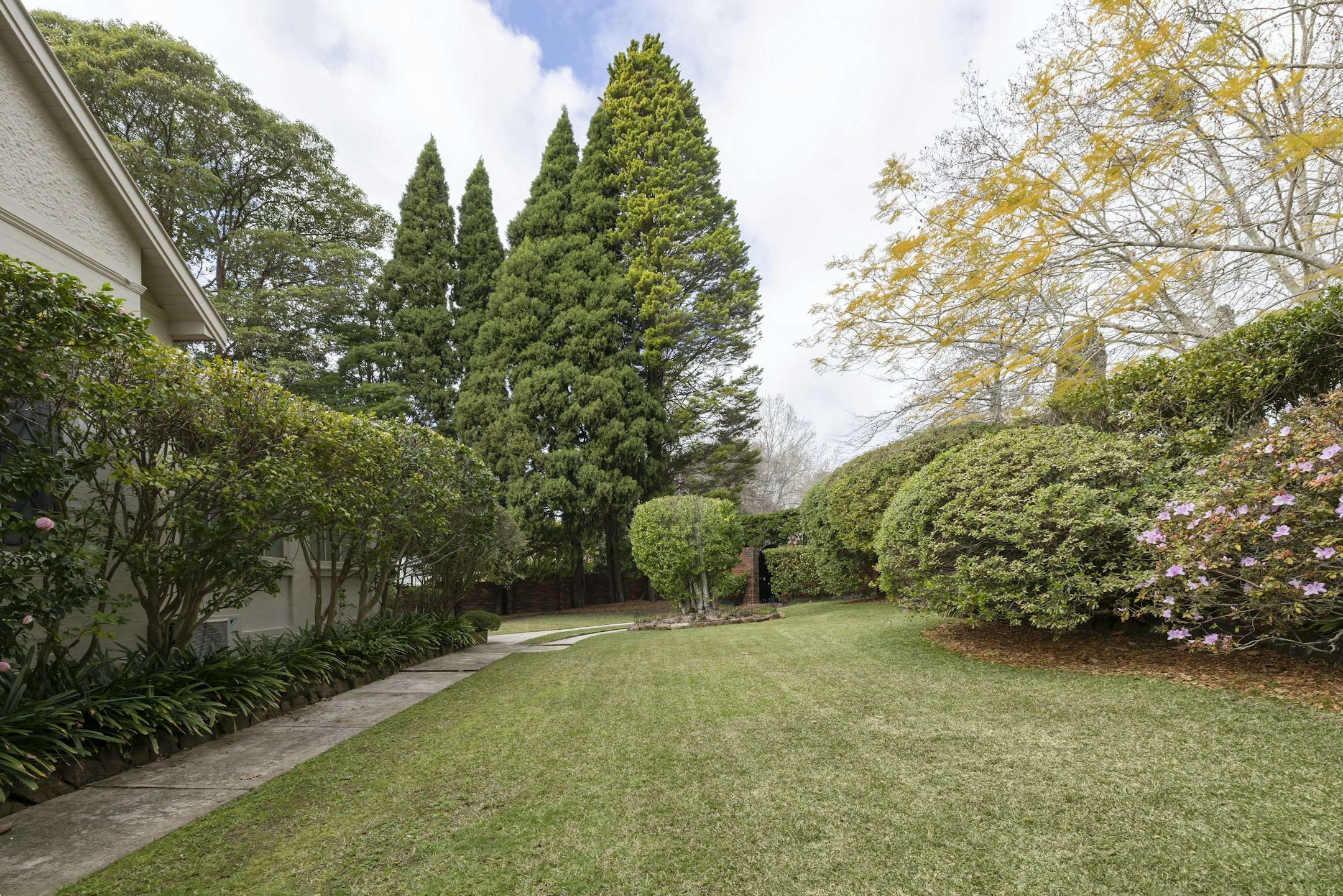 grass