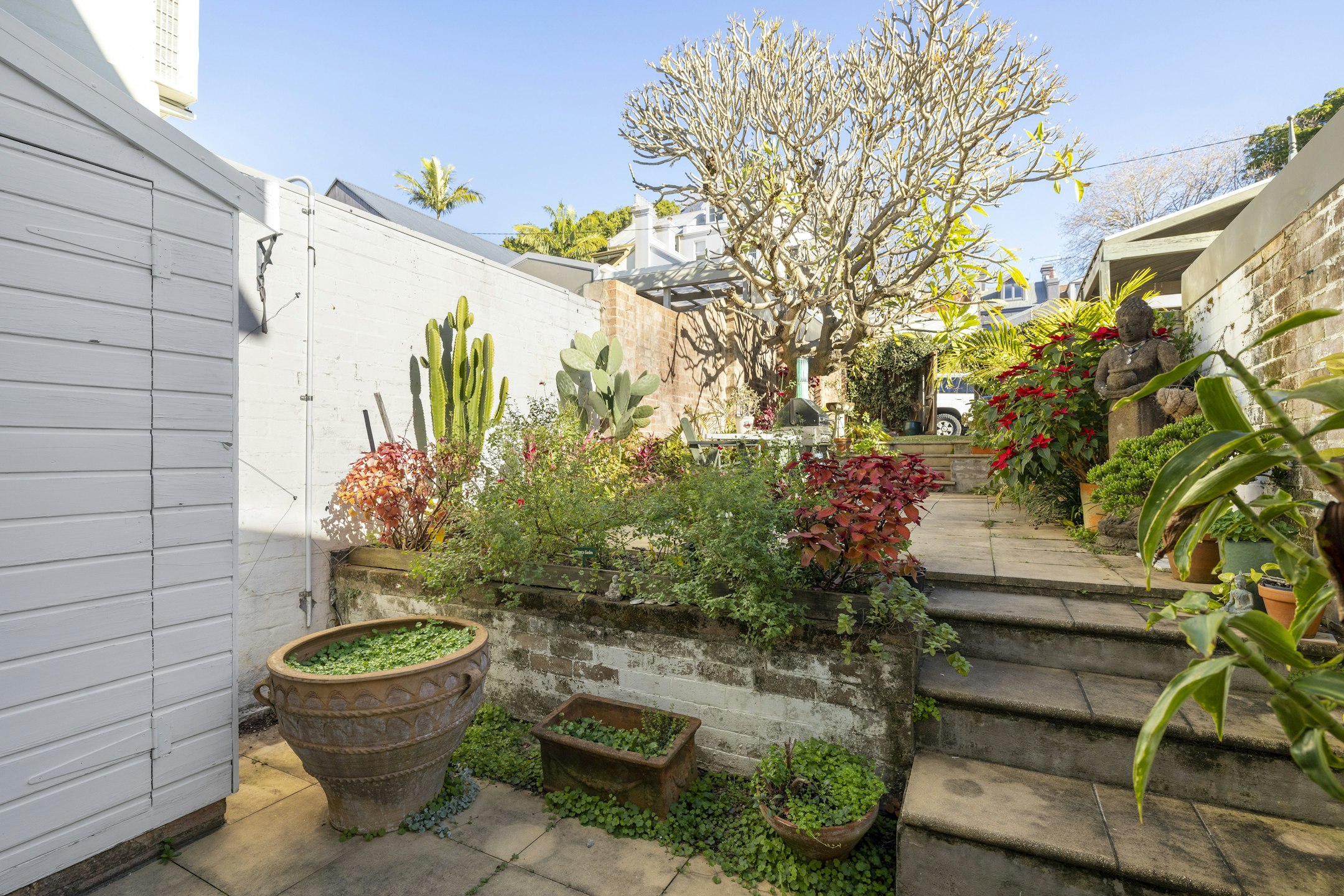 garden
