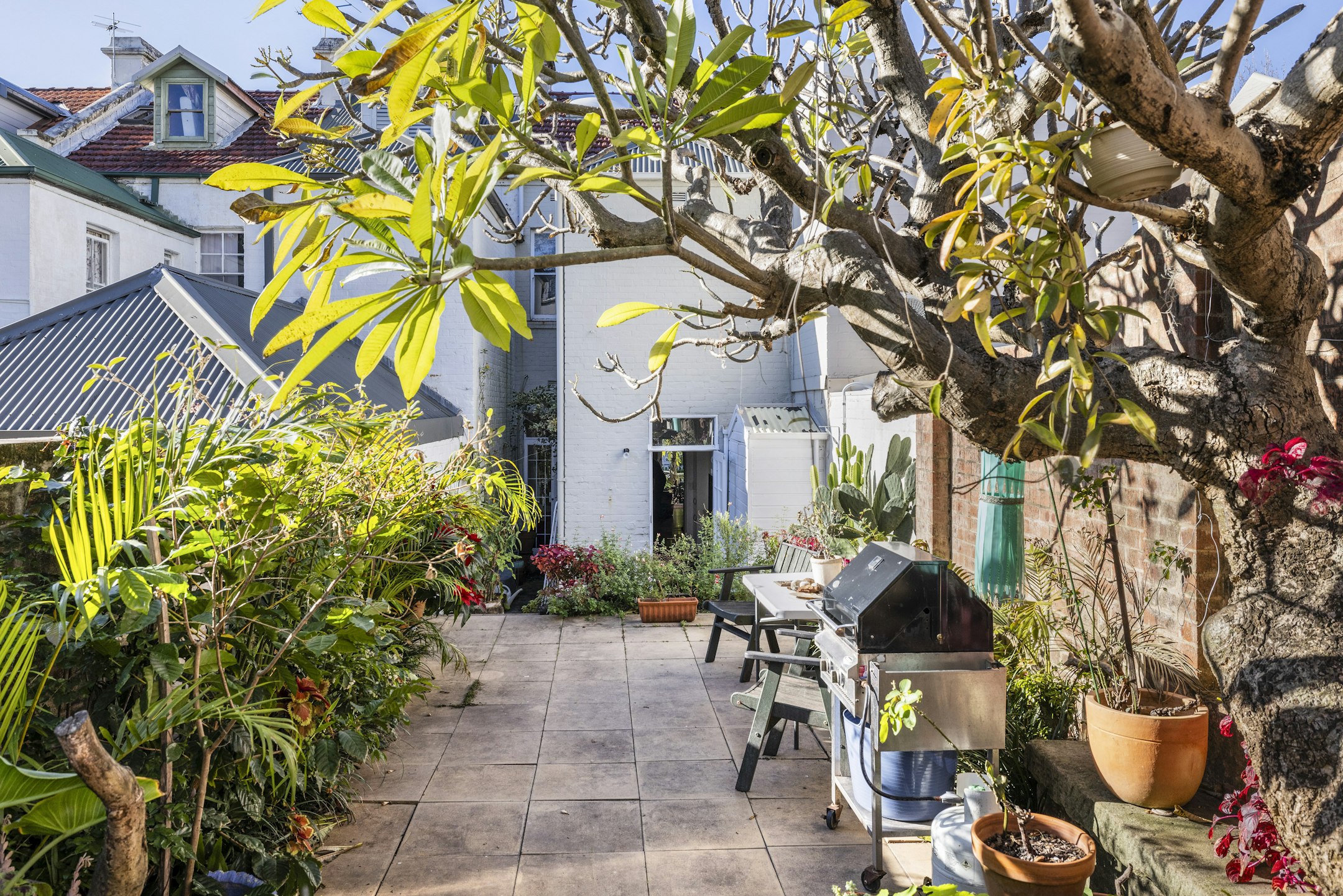 garden