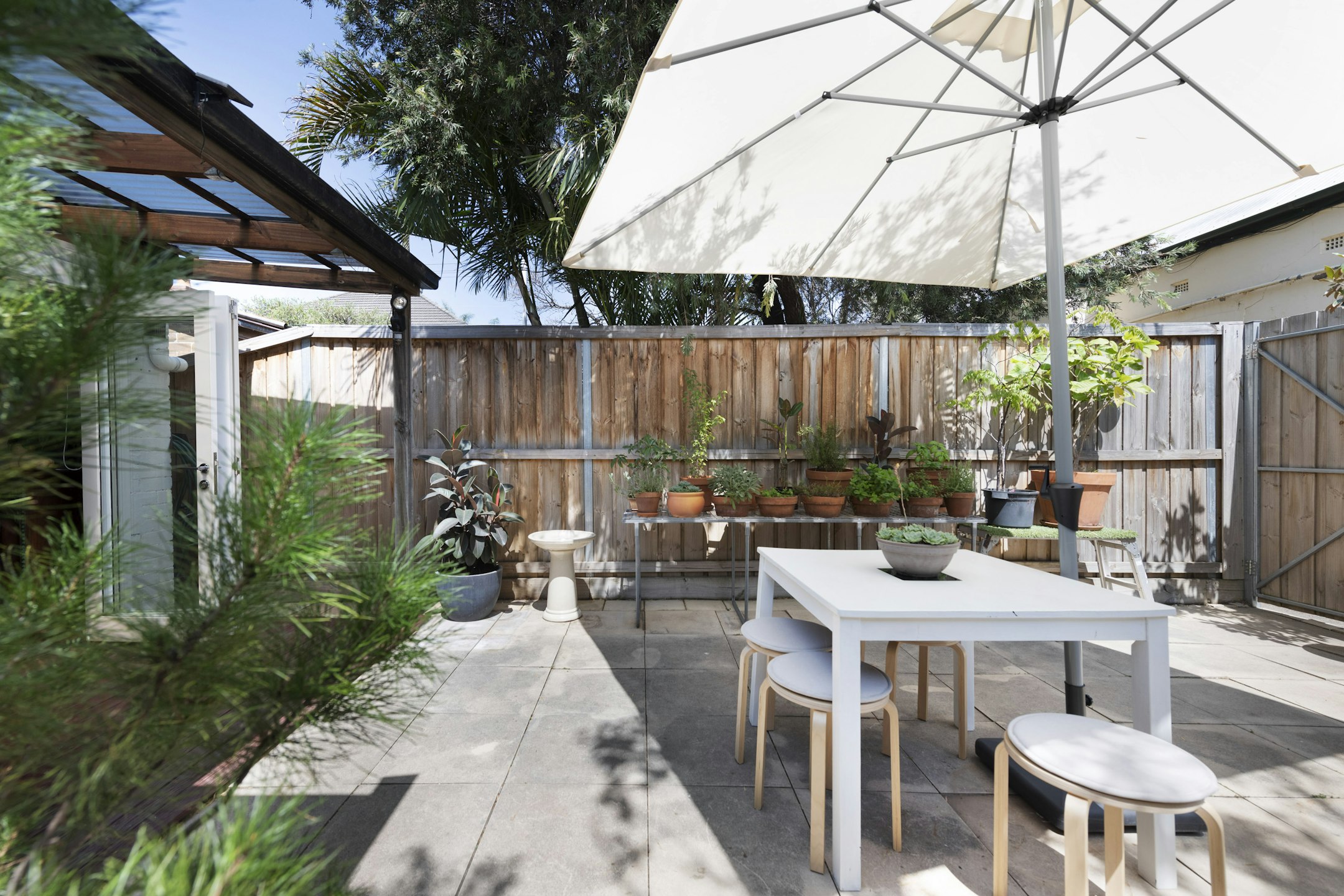 backyard