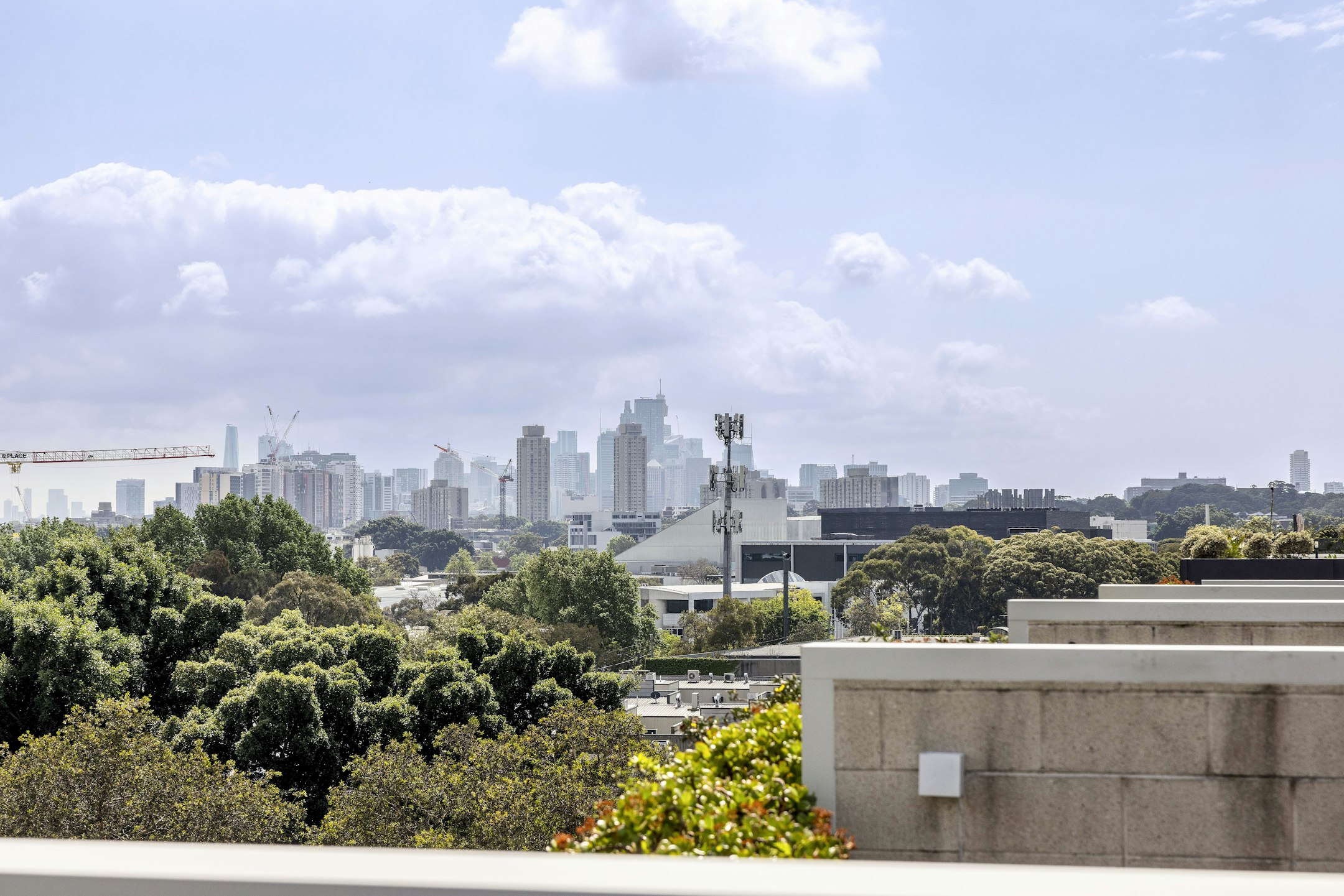 cityscape