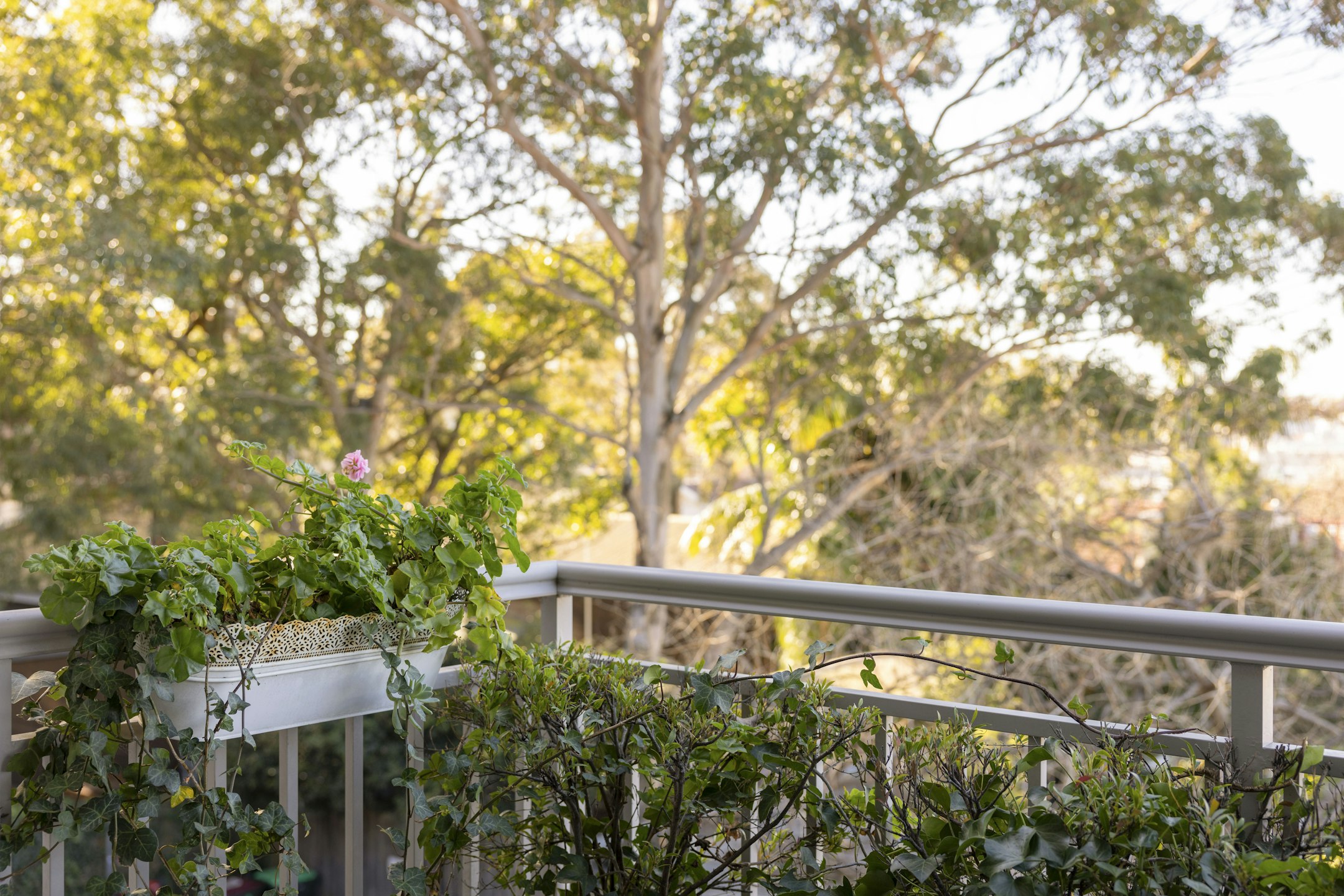 railing