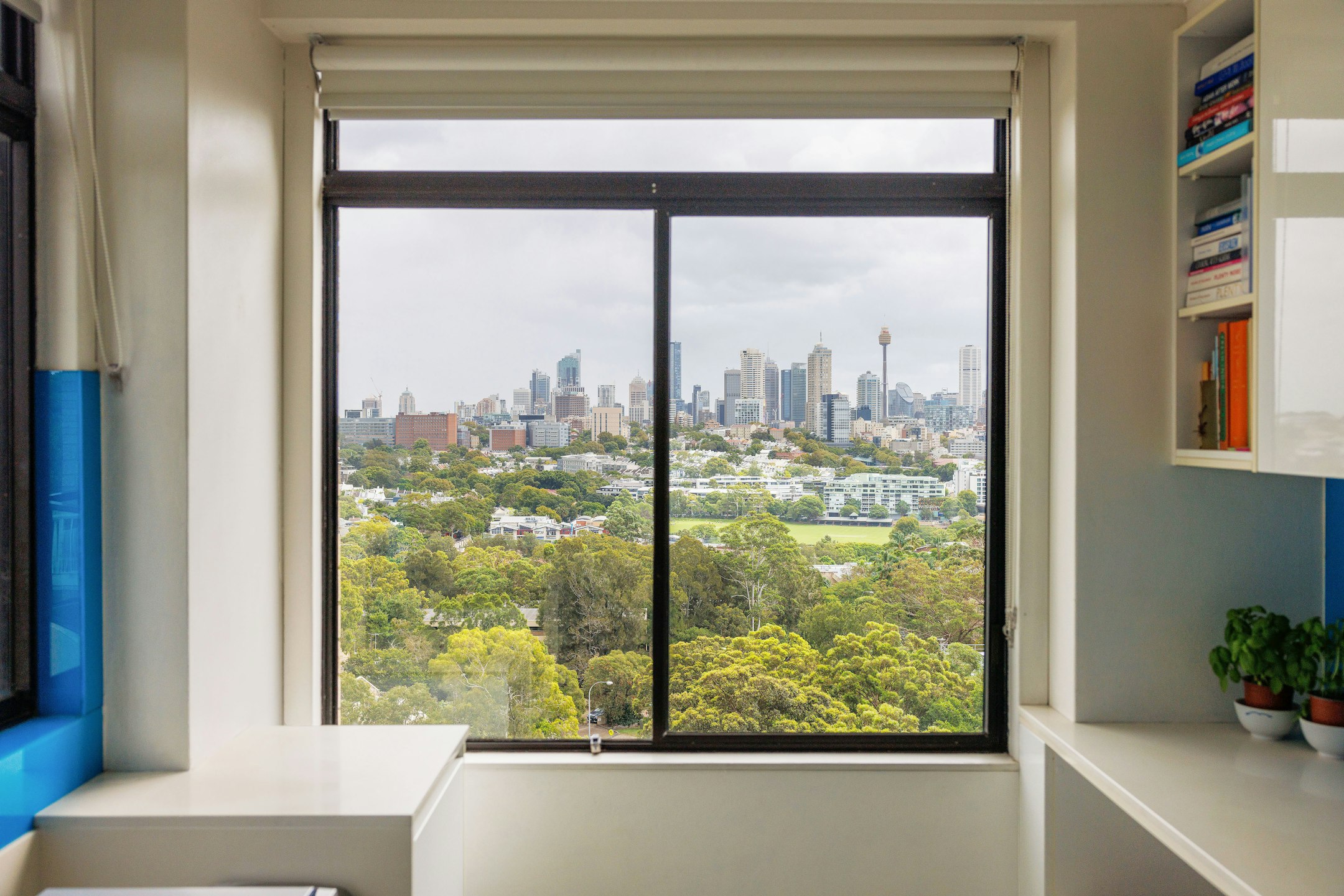 window