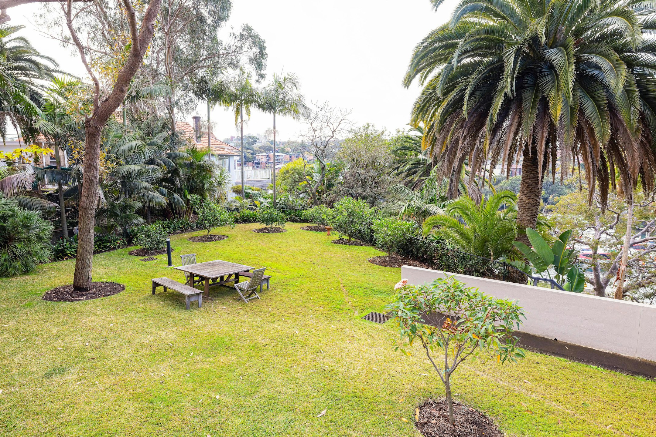 garden
