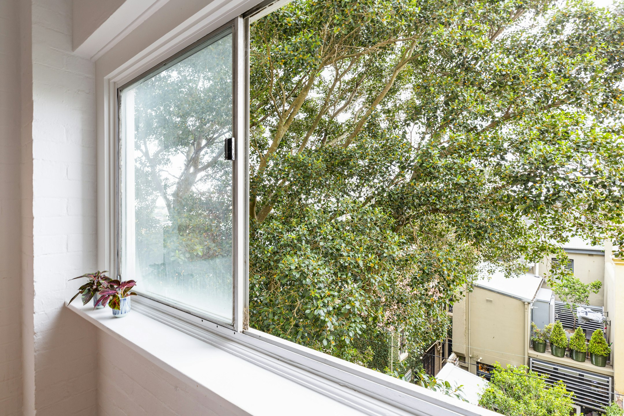 window