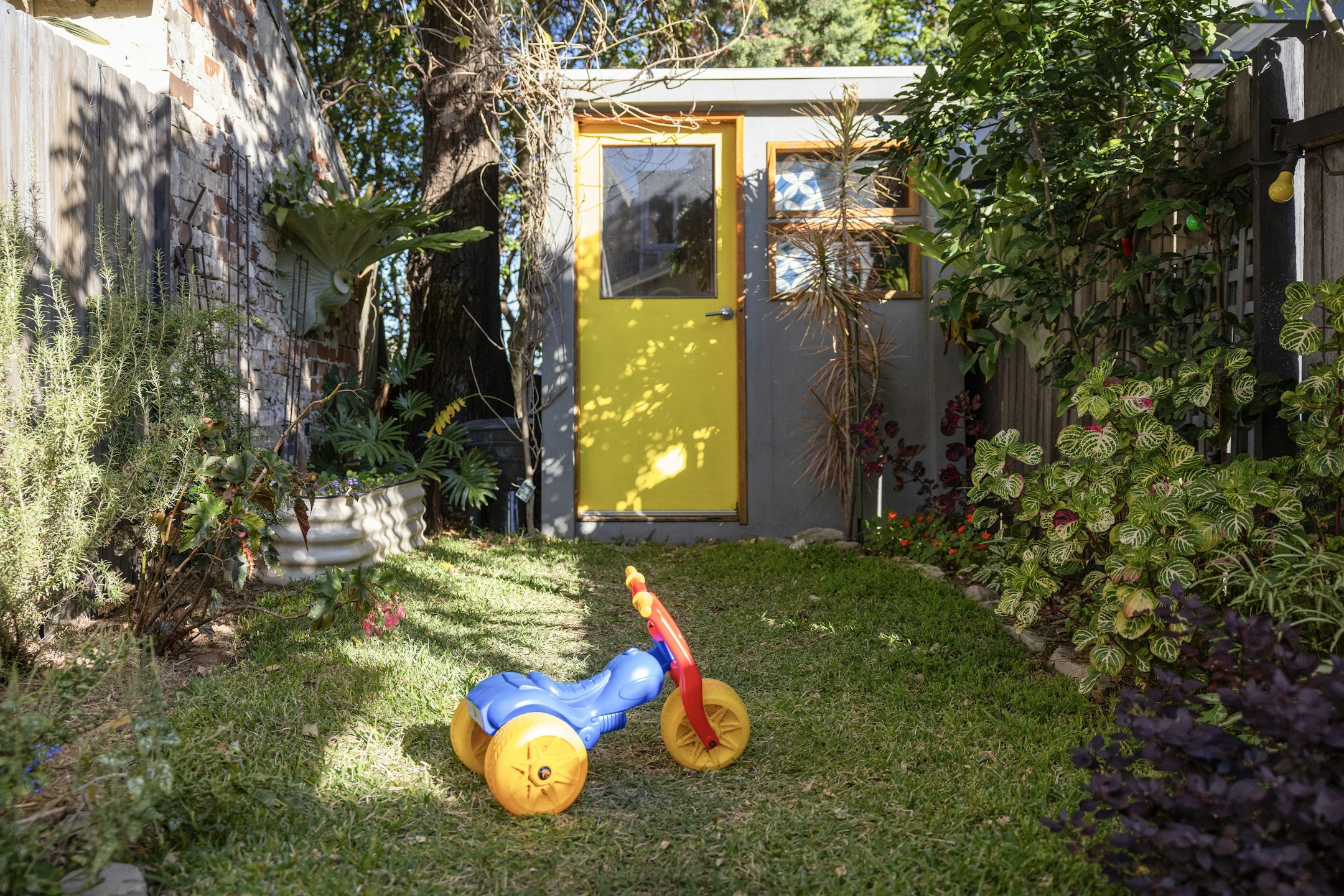 backyard