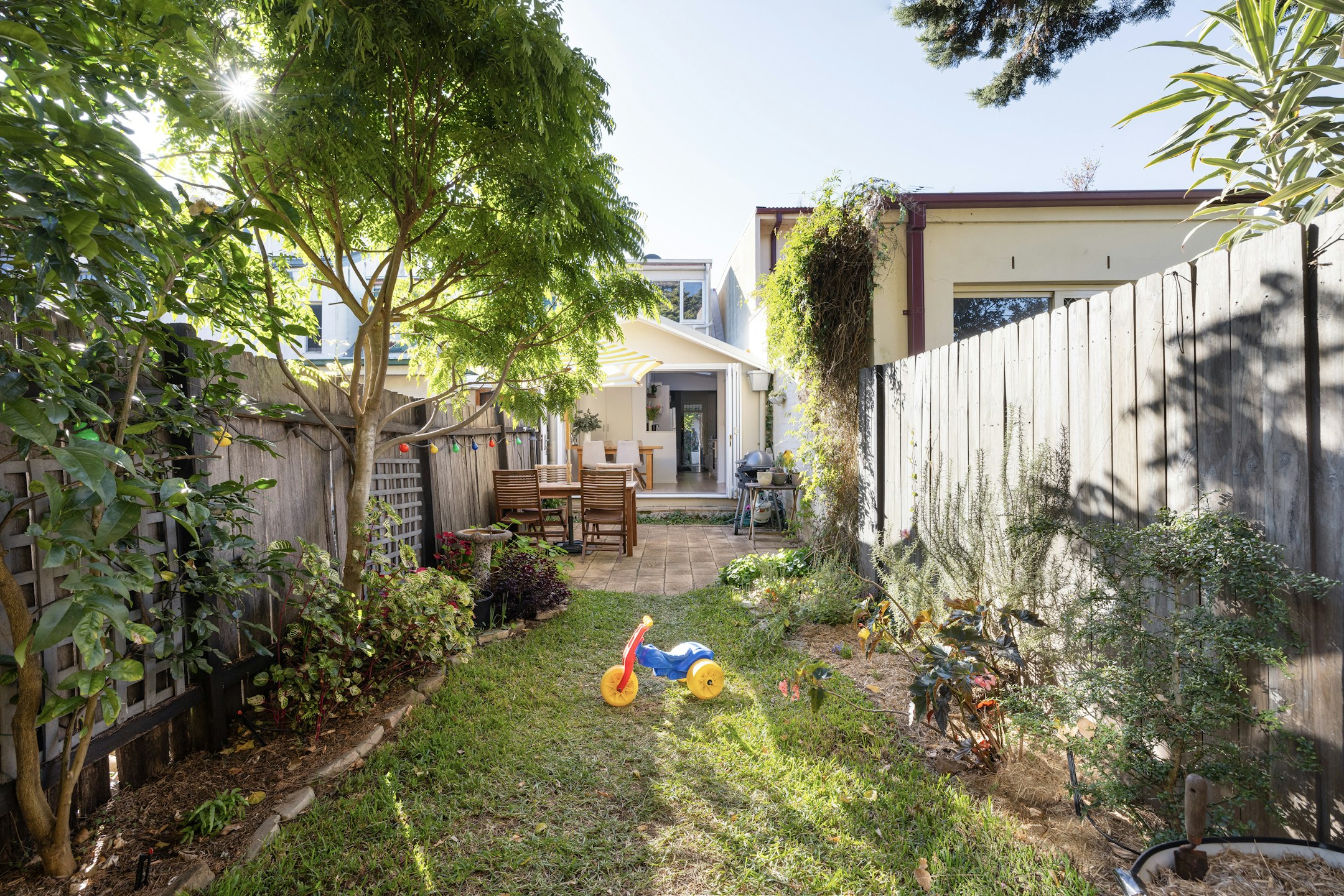 backyard