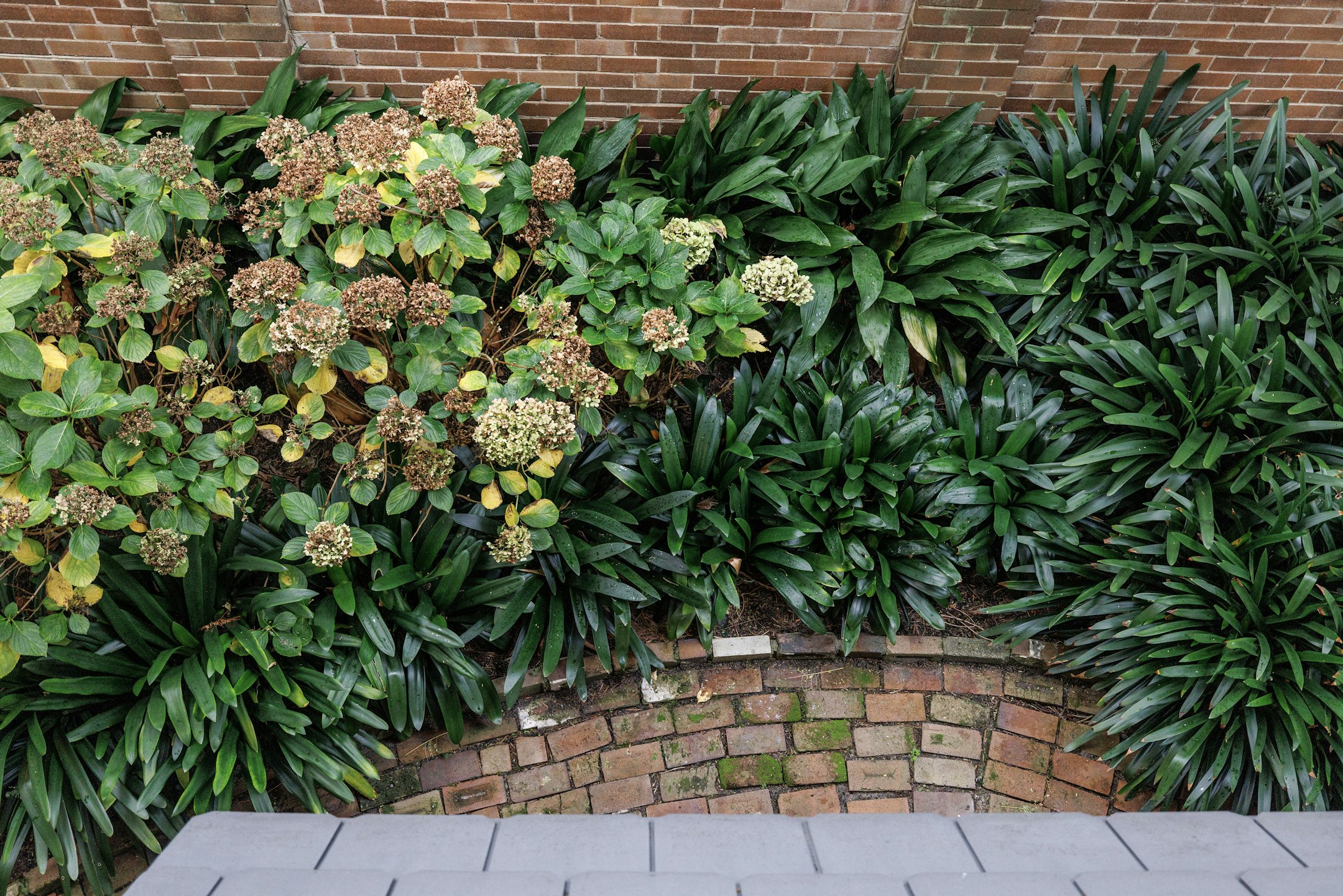 brick