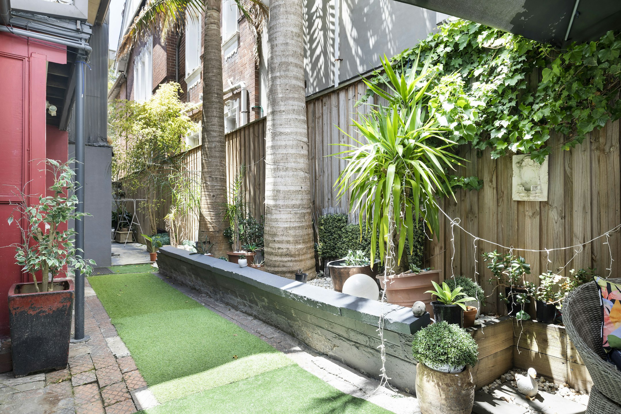 backyard