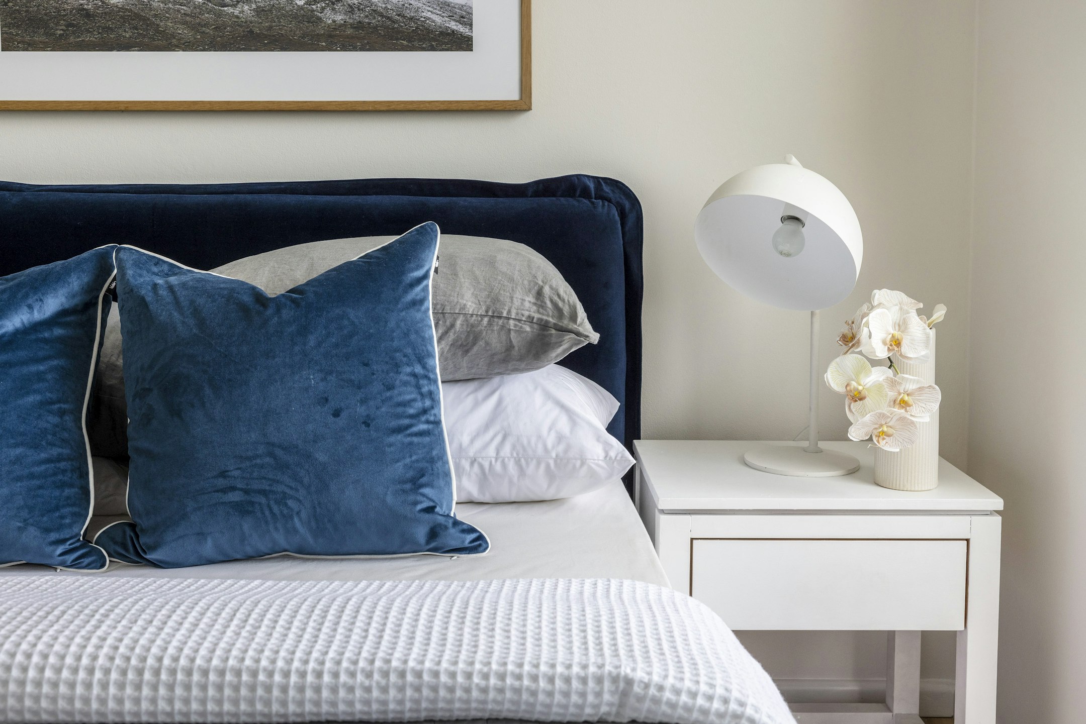 cushion