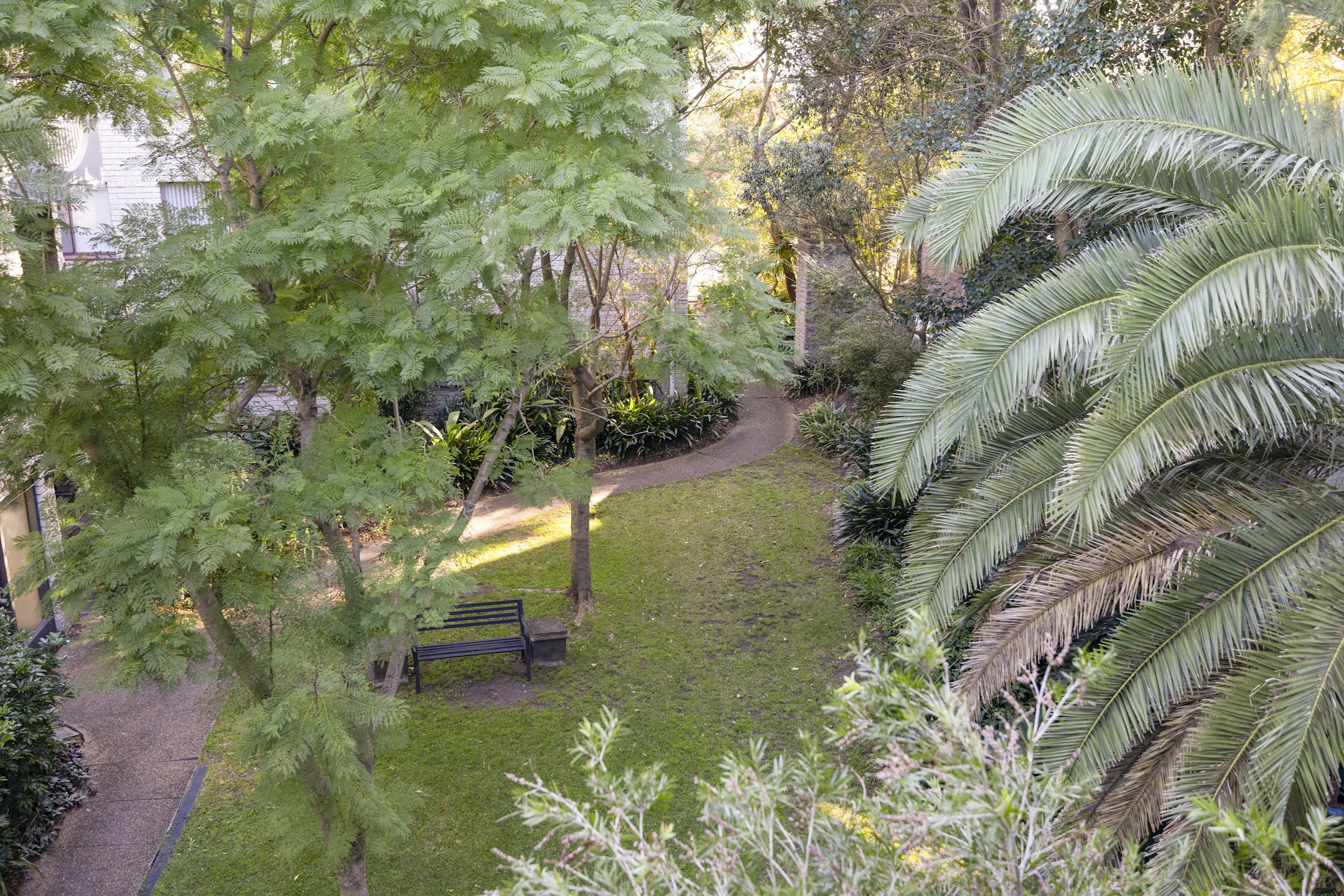 garden