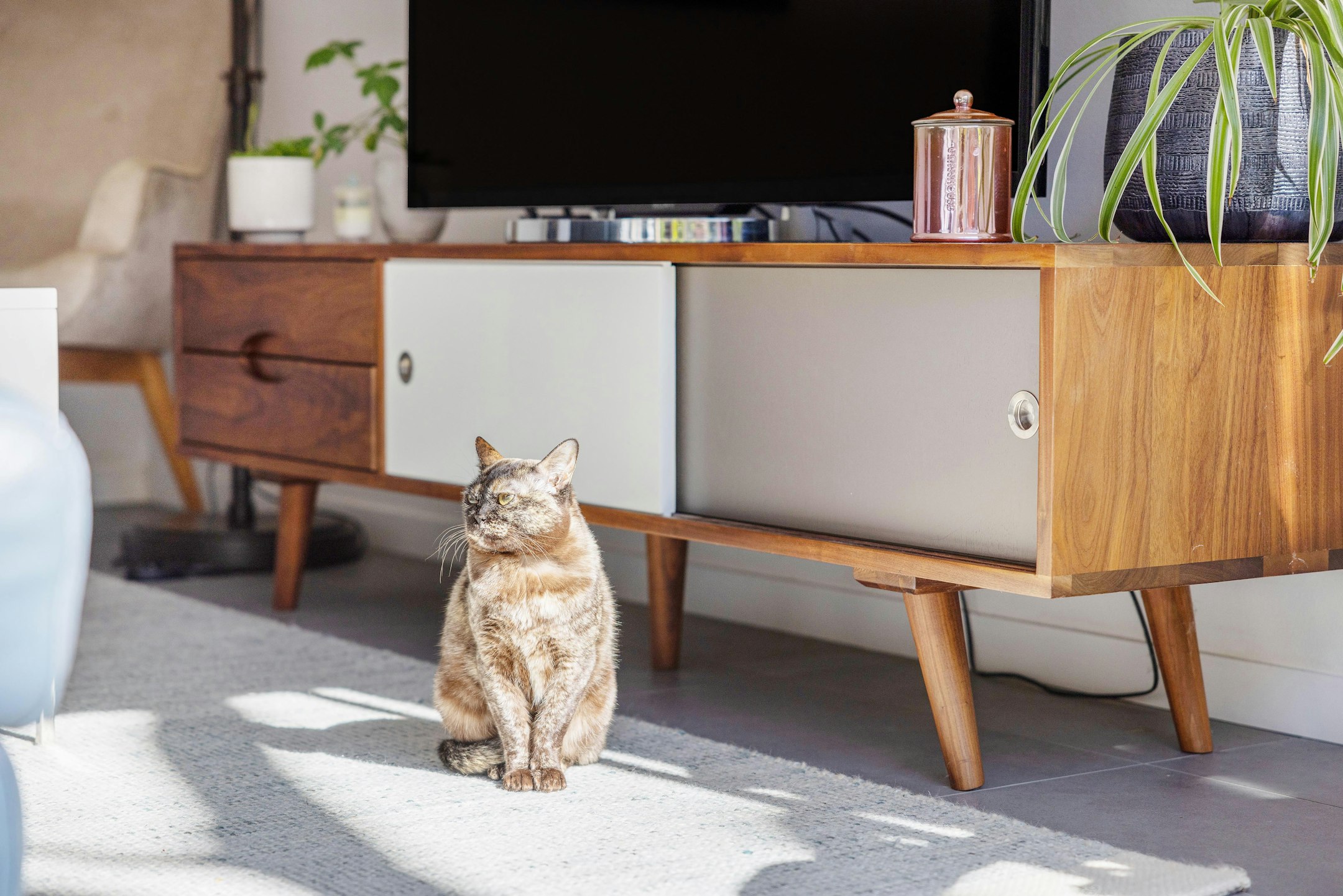 furniture
