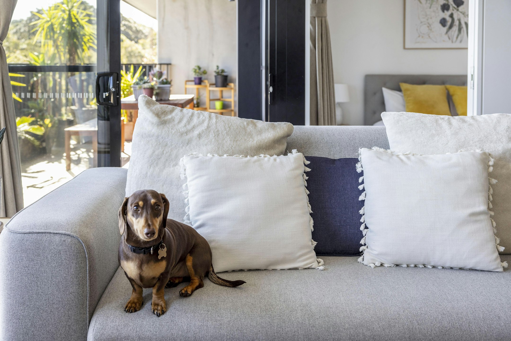 cushion
