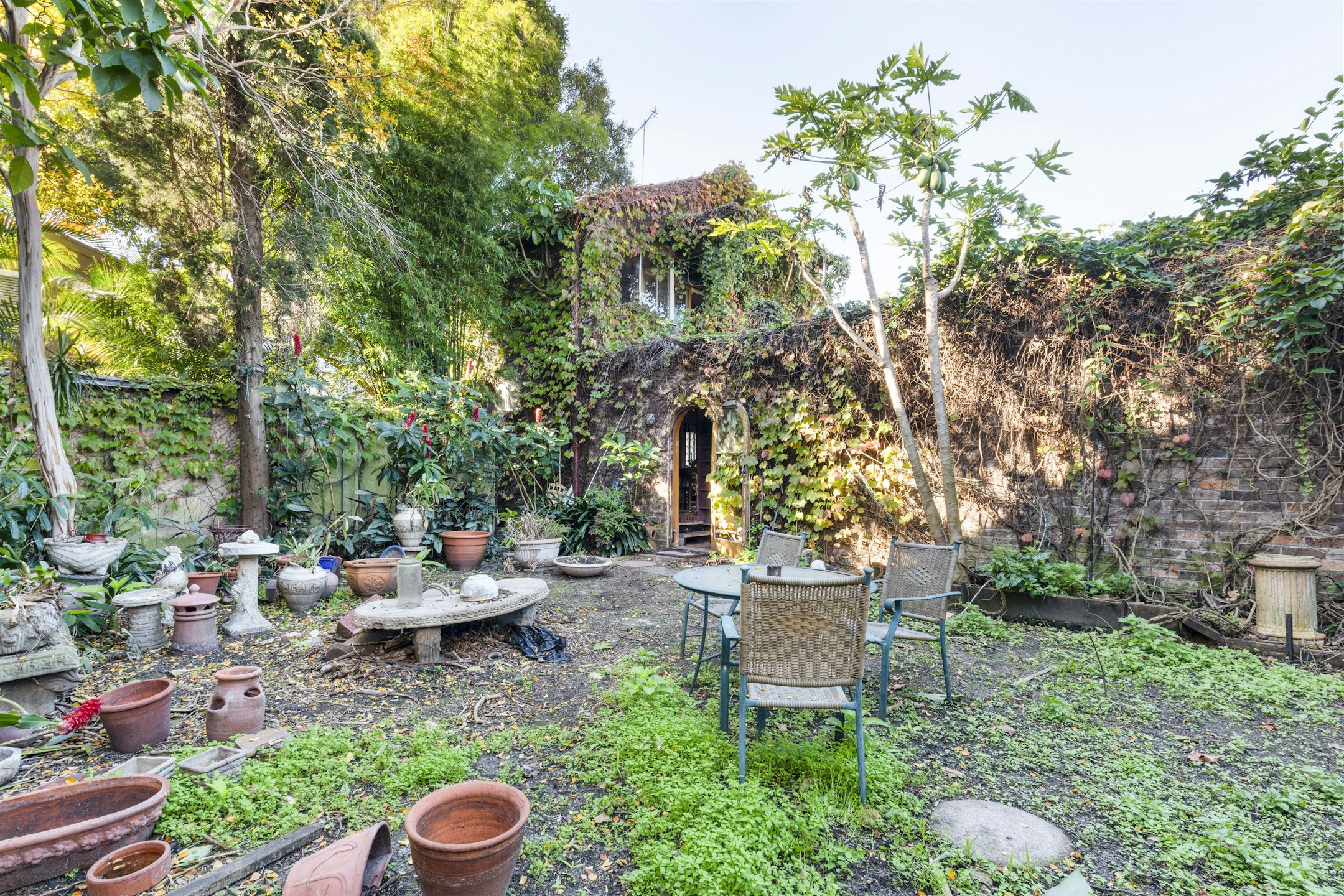 garden