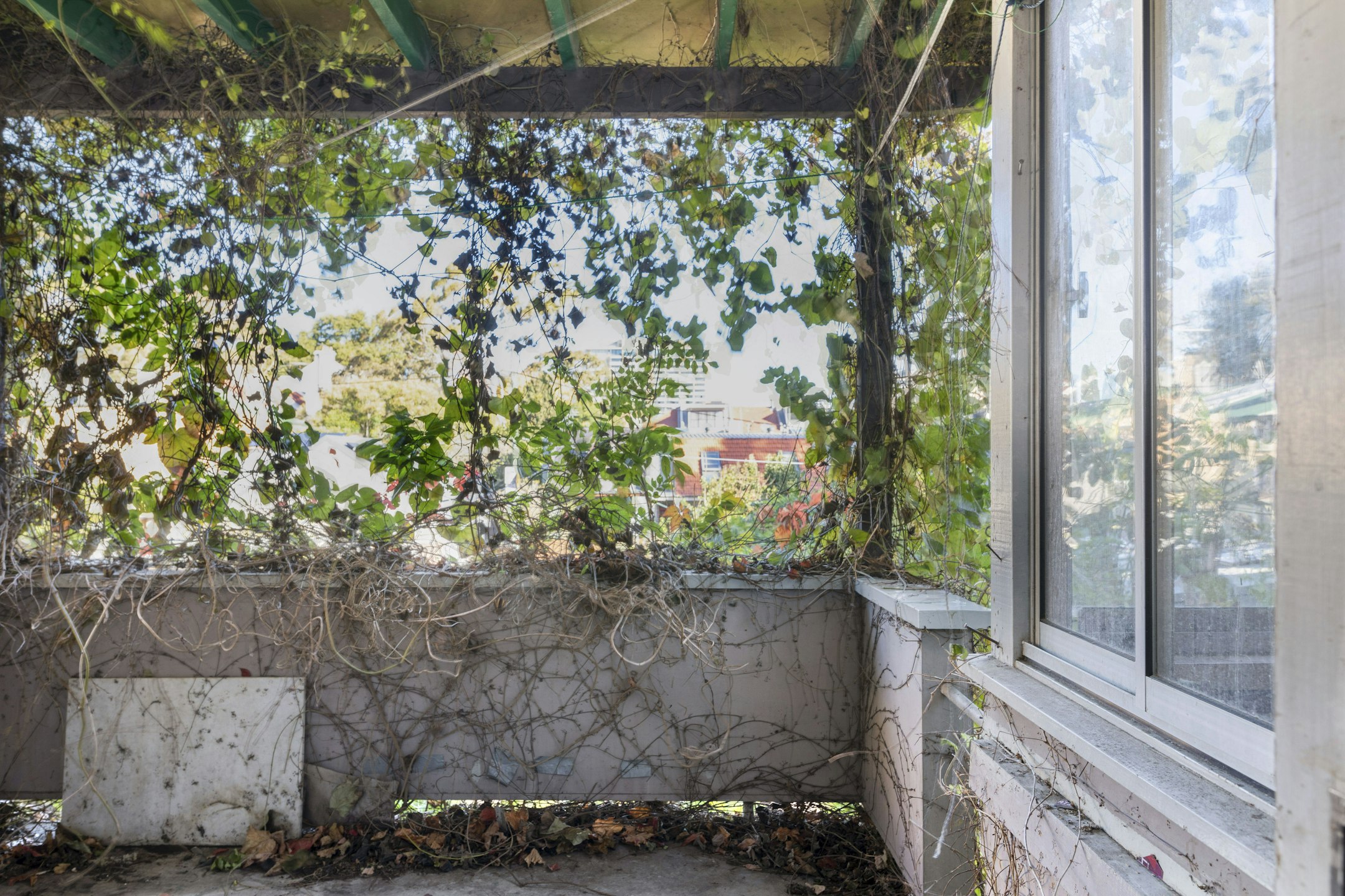 garden