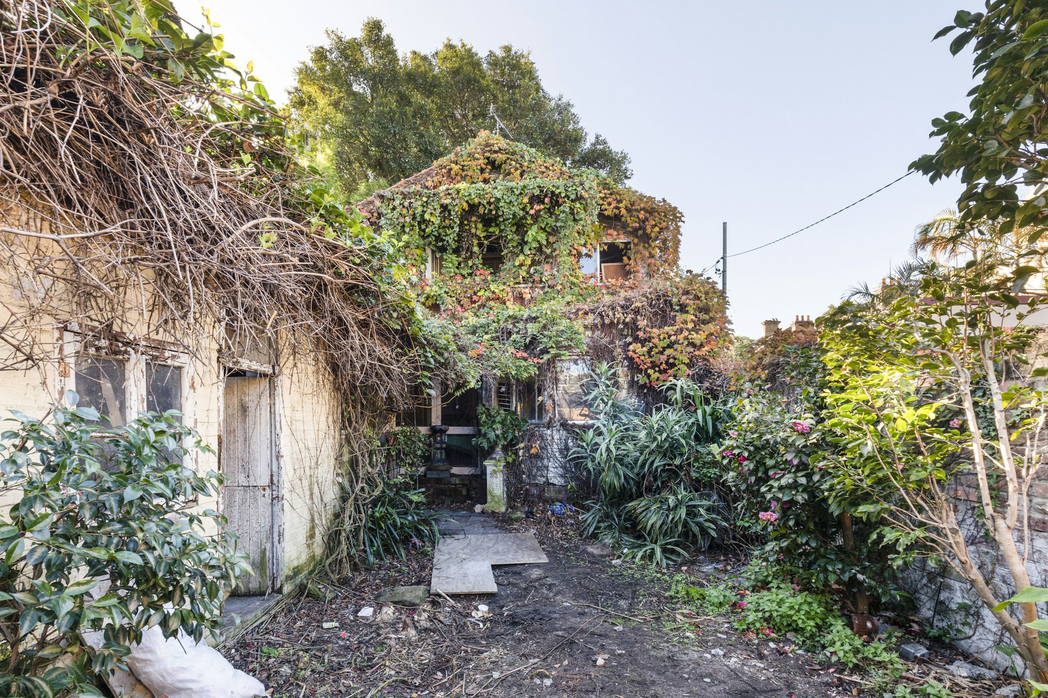 garden