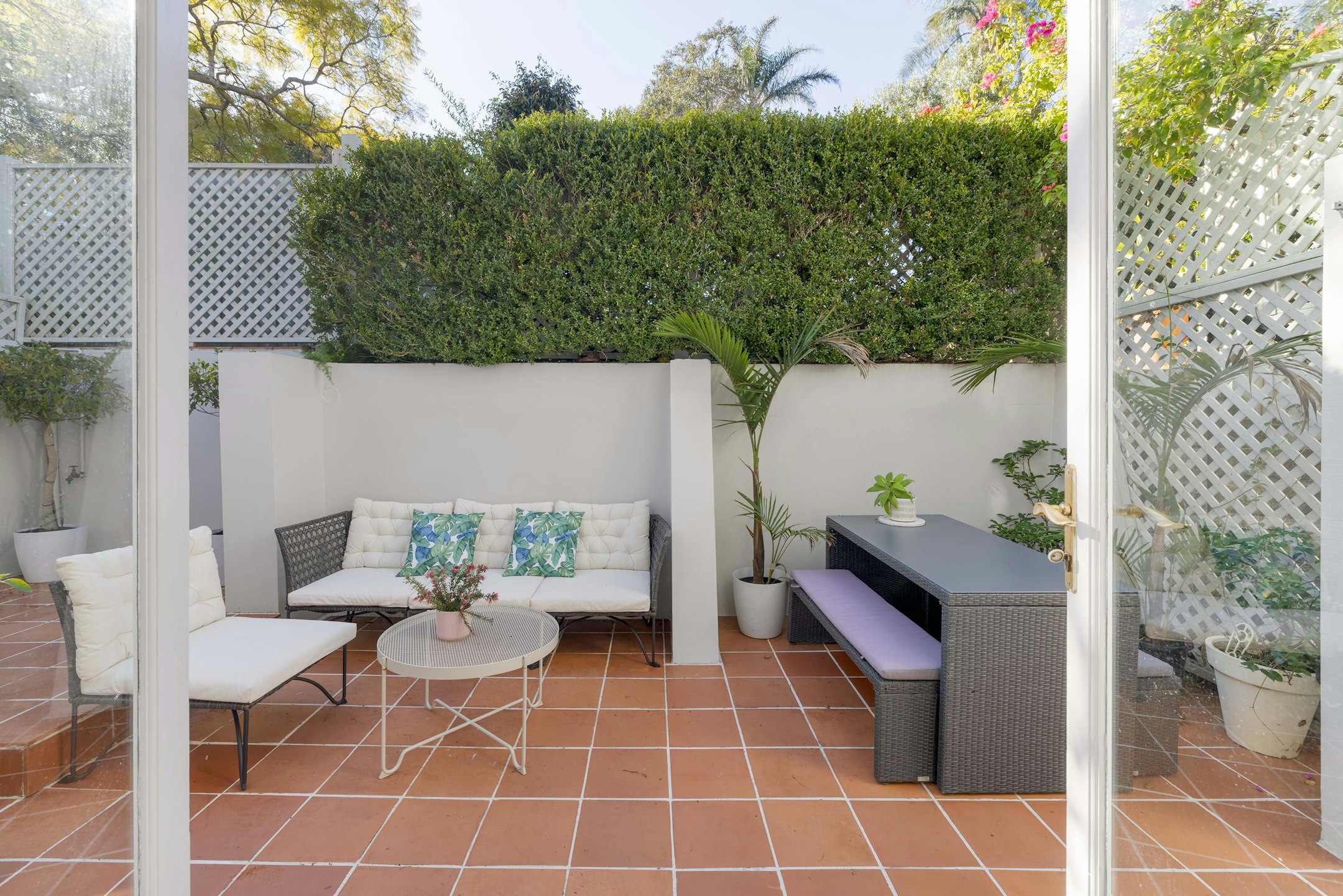 backyard