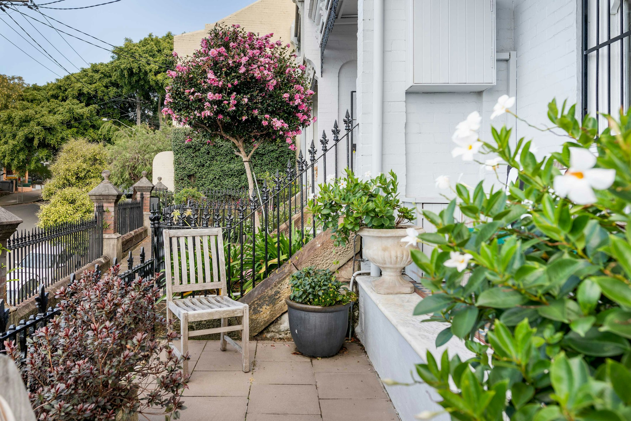 garden