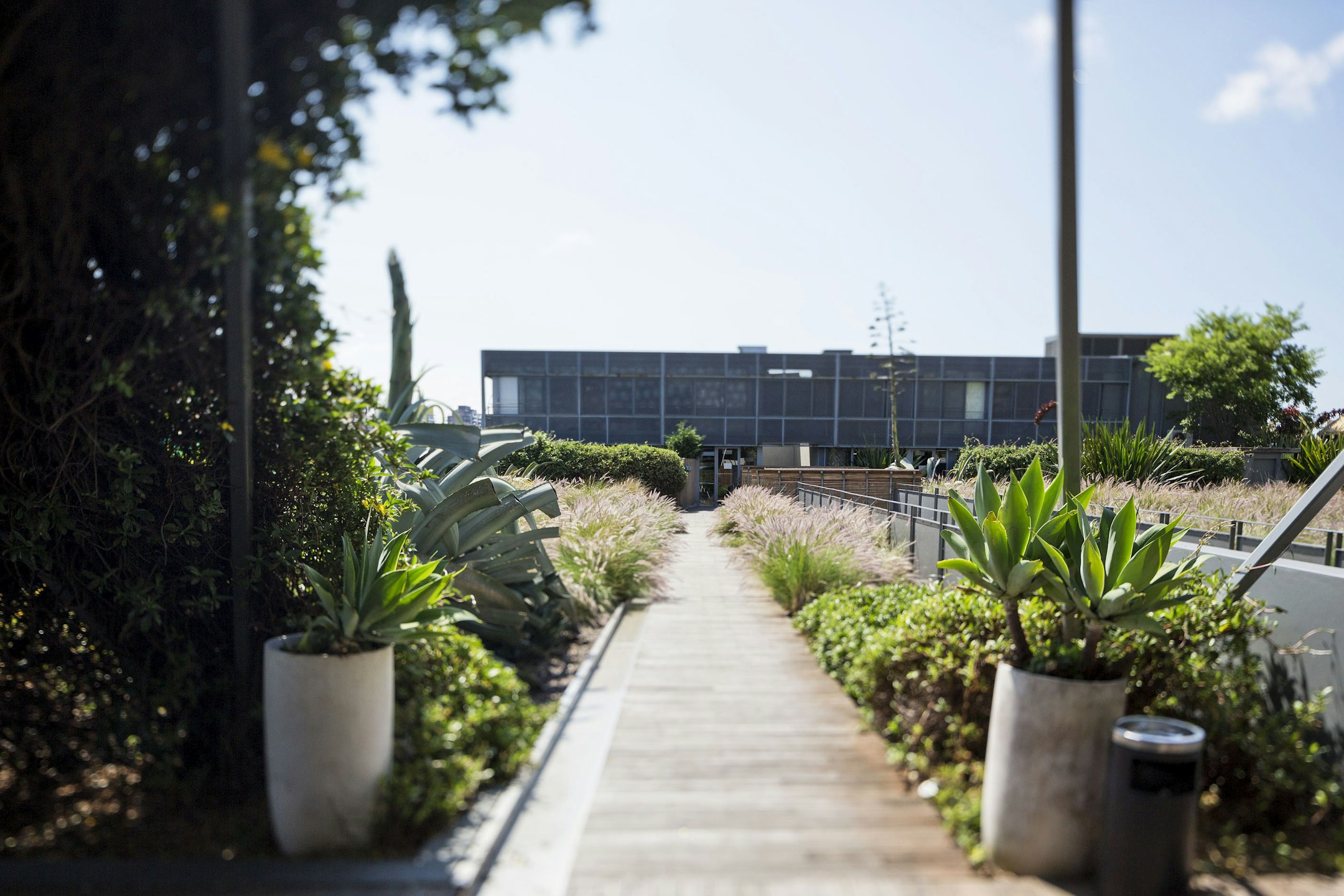 garden