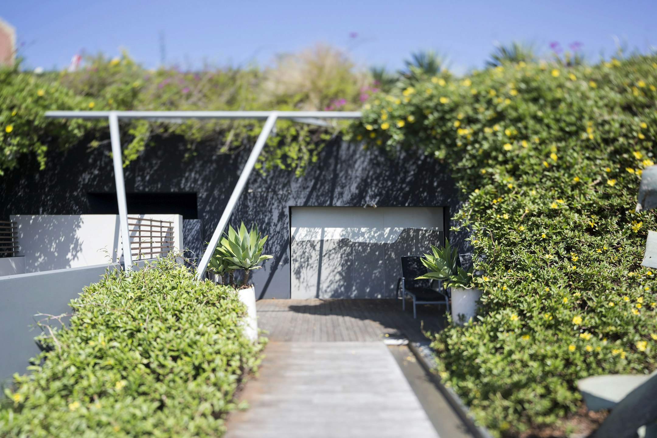 garden