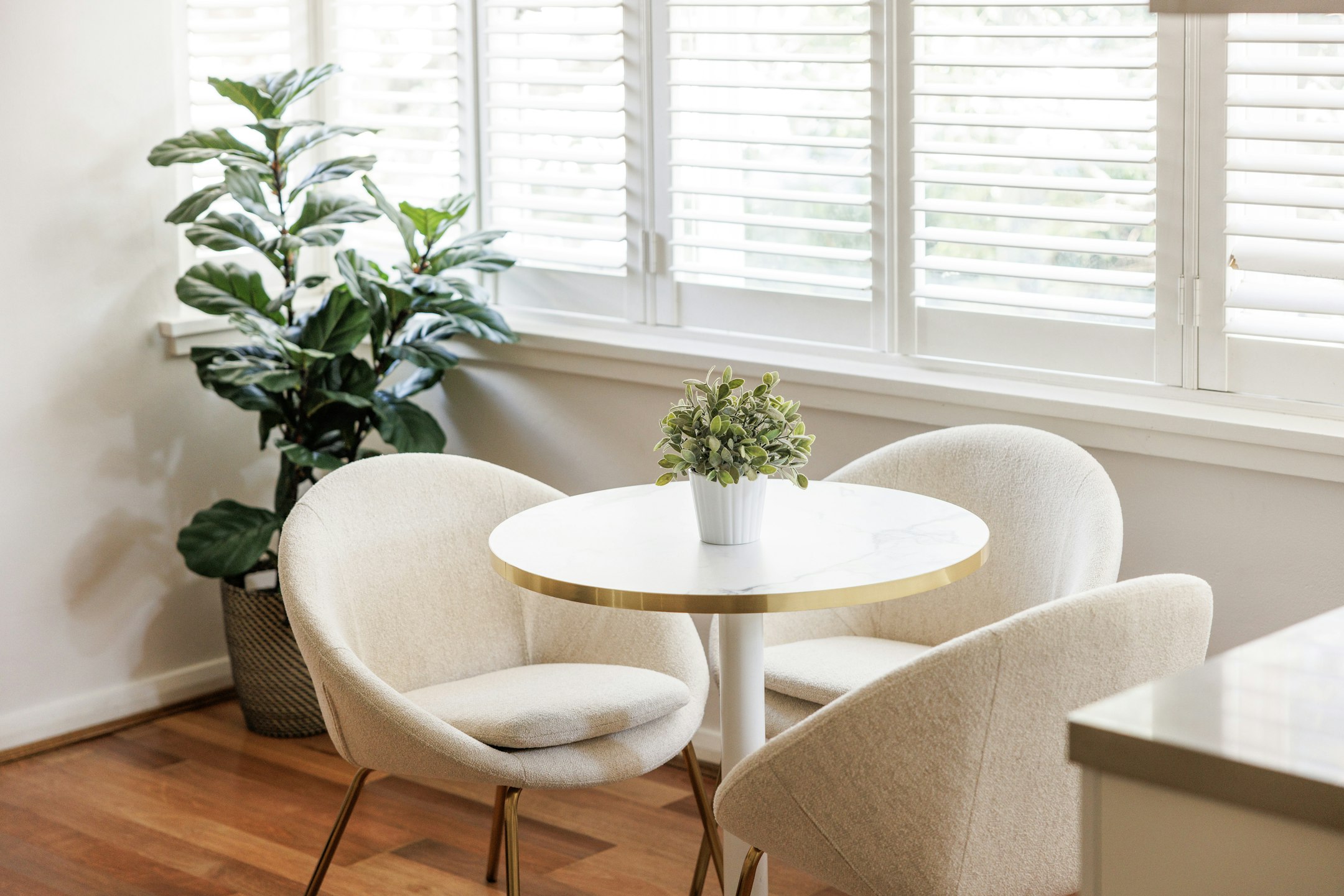 furniture