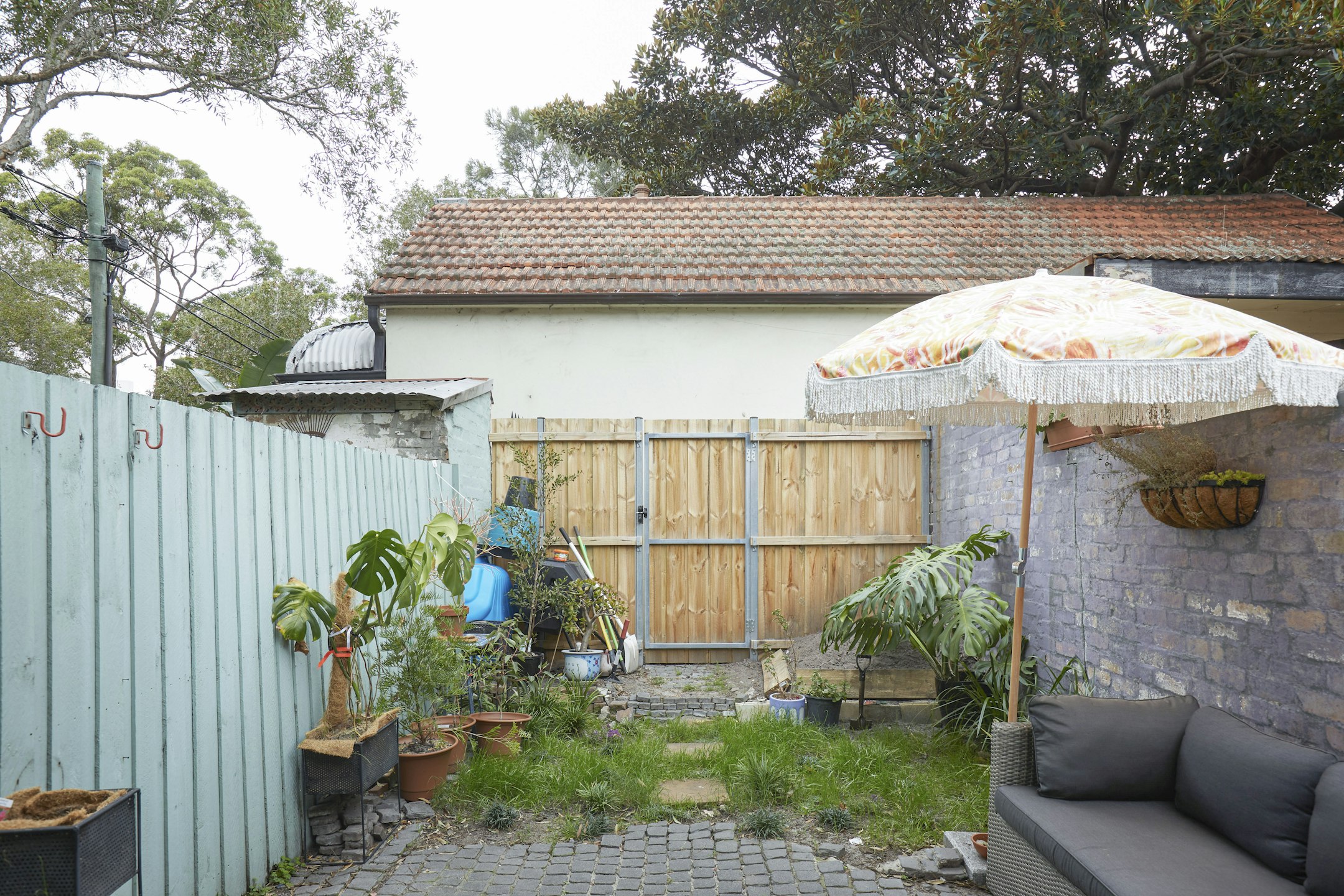 backyard