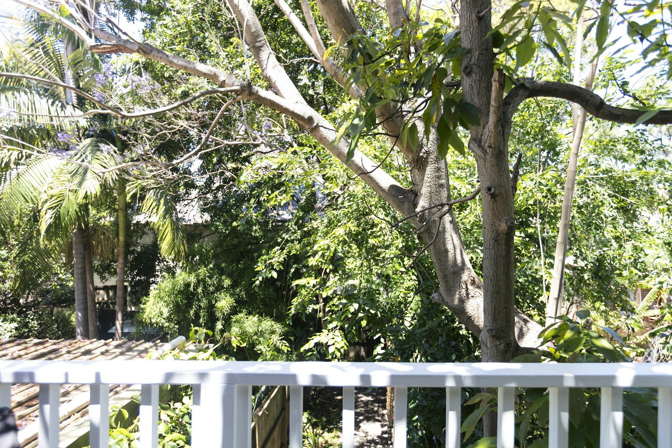 garden